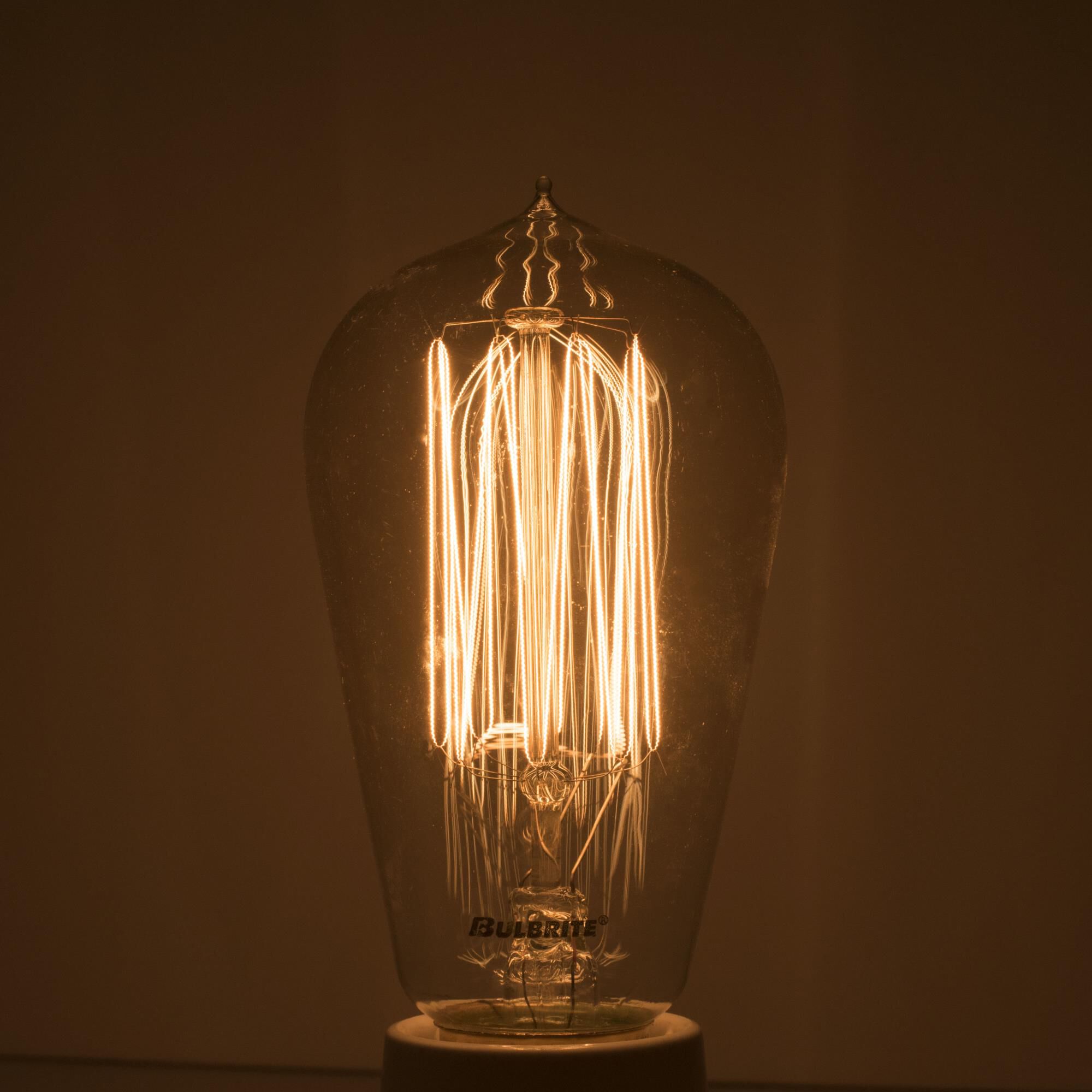 60 Watt 2200K ST18 Incandescent Light Bulb,