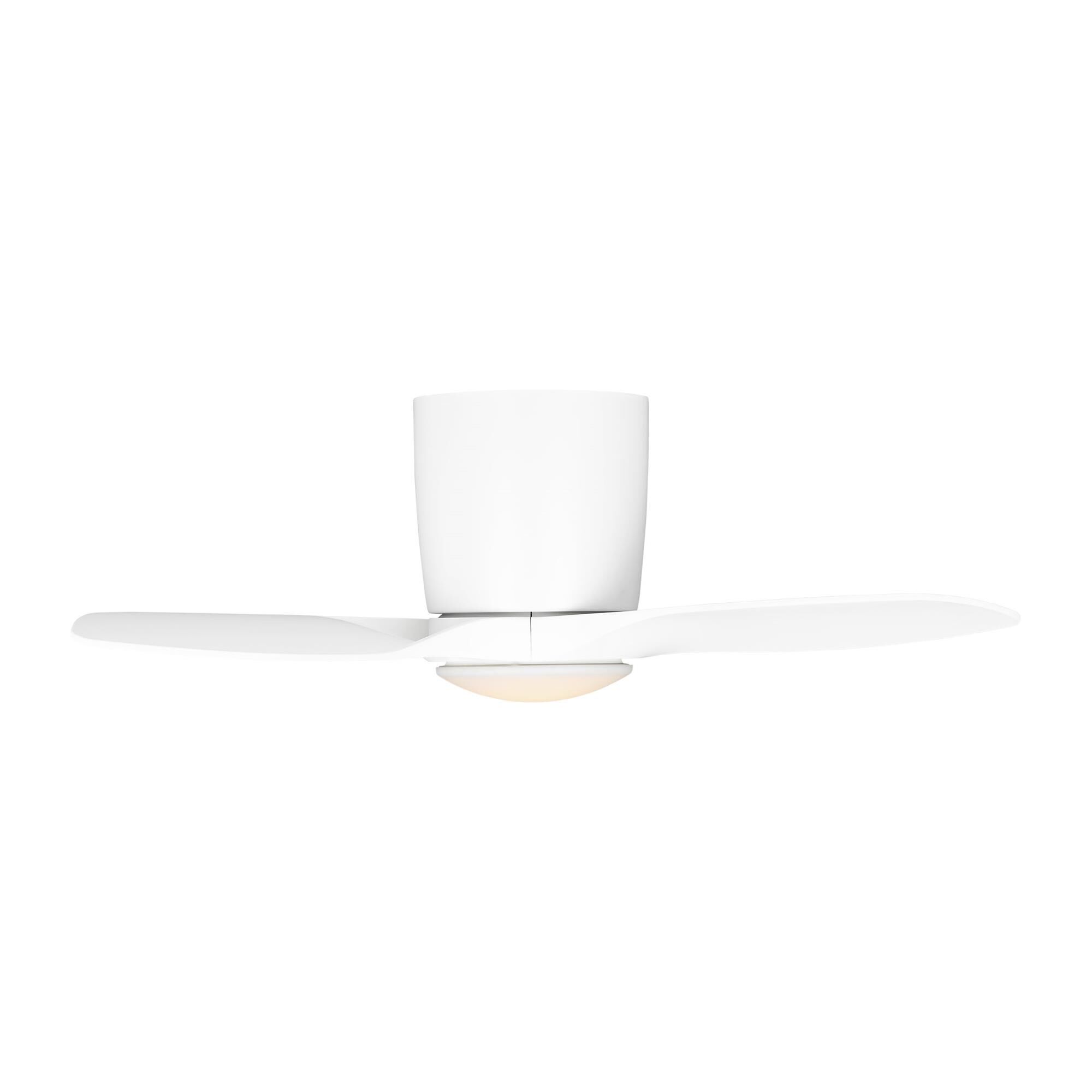 Titus Hugger 32 Inch Flush Mount Fan With Light Kit,