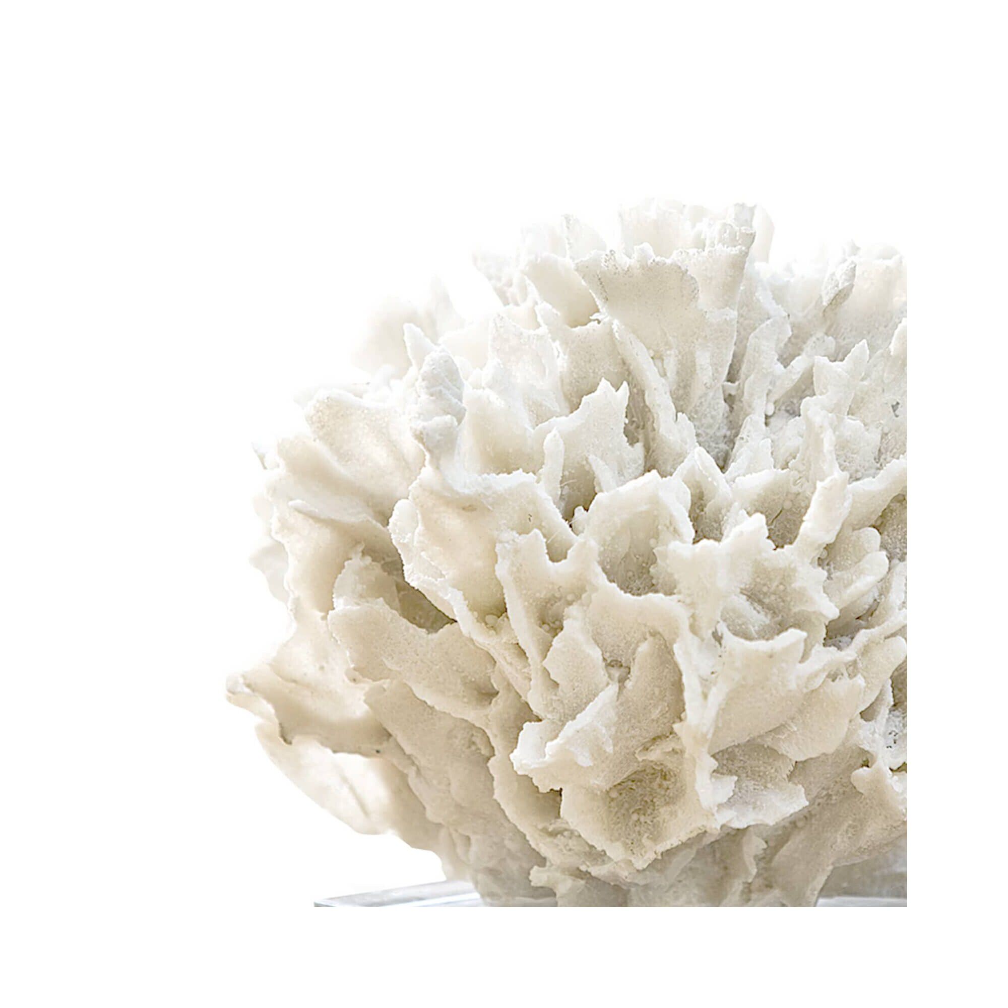 Shown in White finish