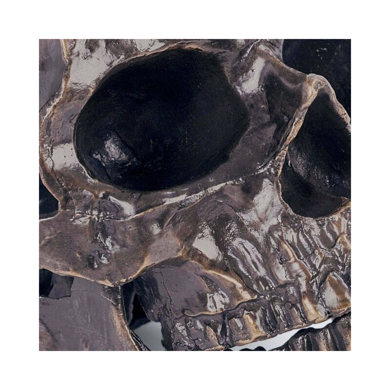 Metal Skull Other Table Accent by Regina Andrew