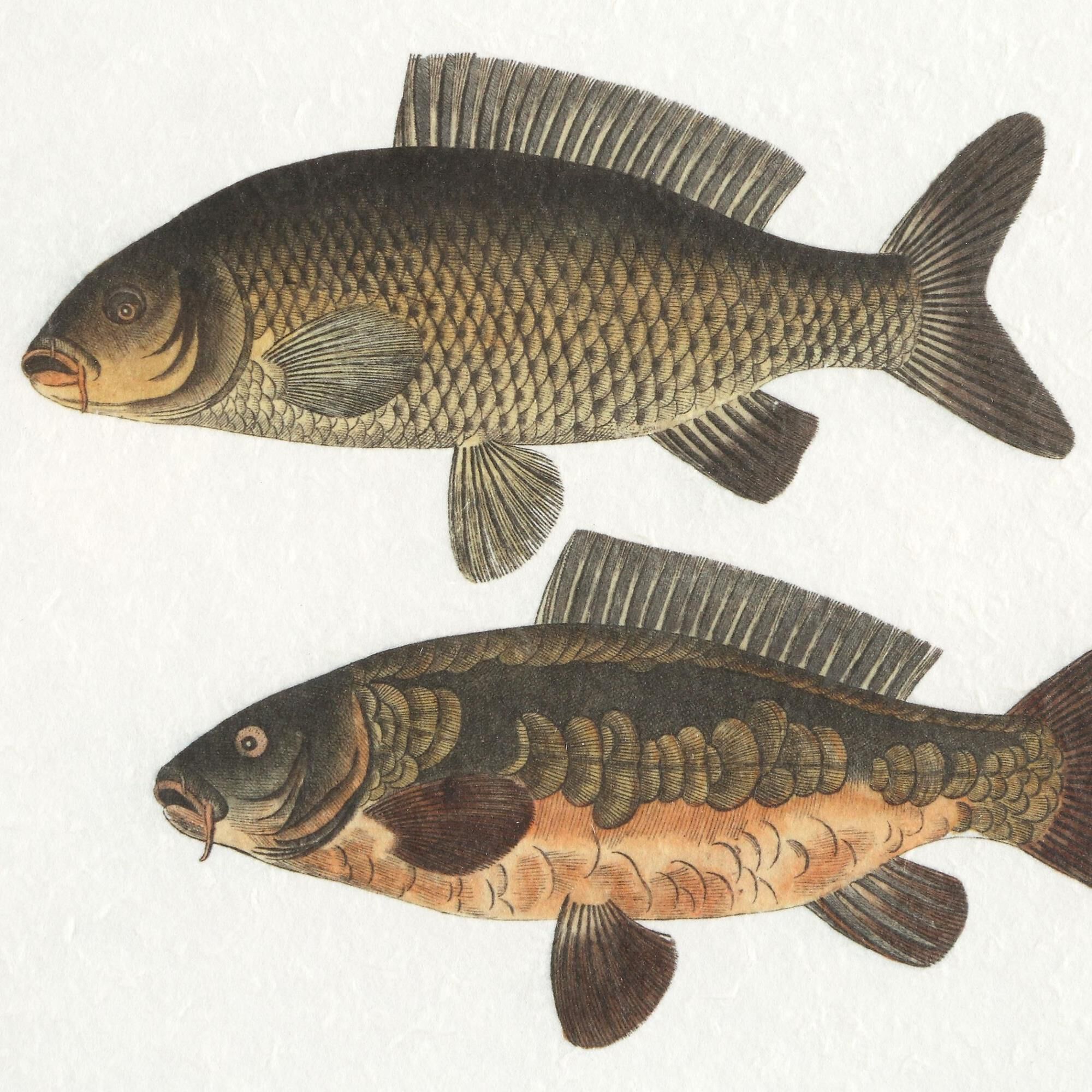 Grace Feyock The Catch 18 Inch Art Print by Uttermost