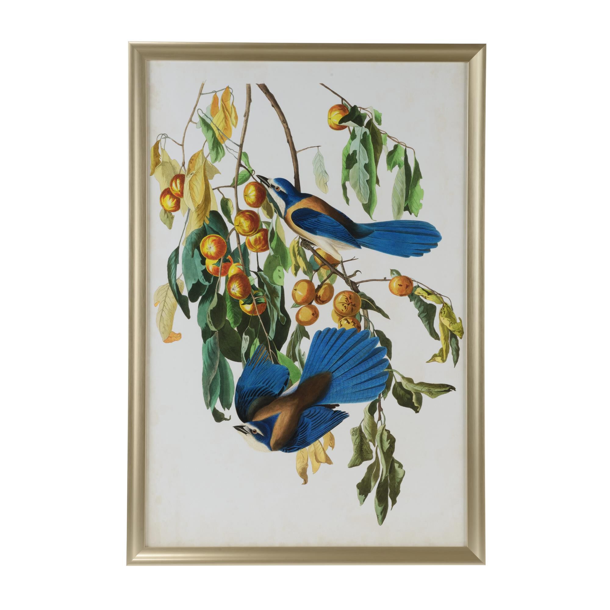 Shown in Gold finish