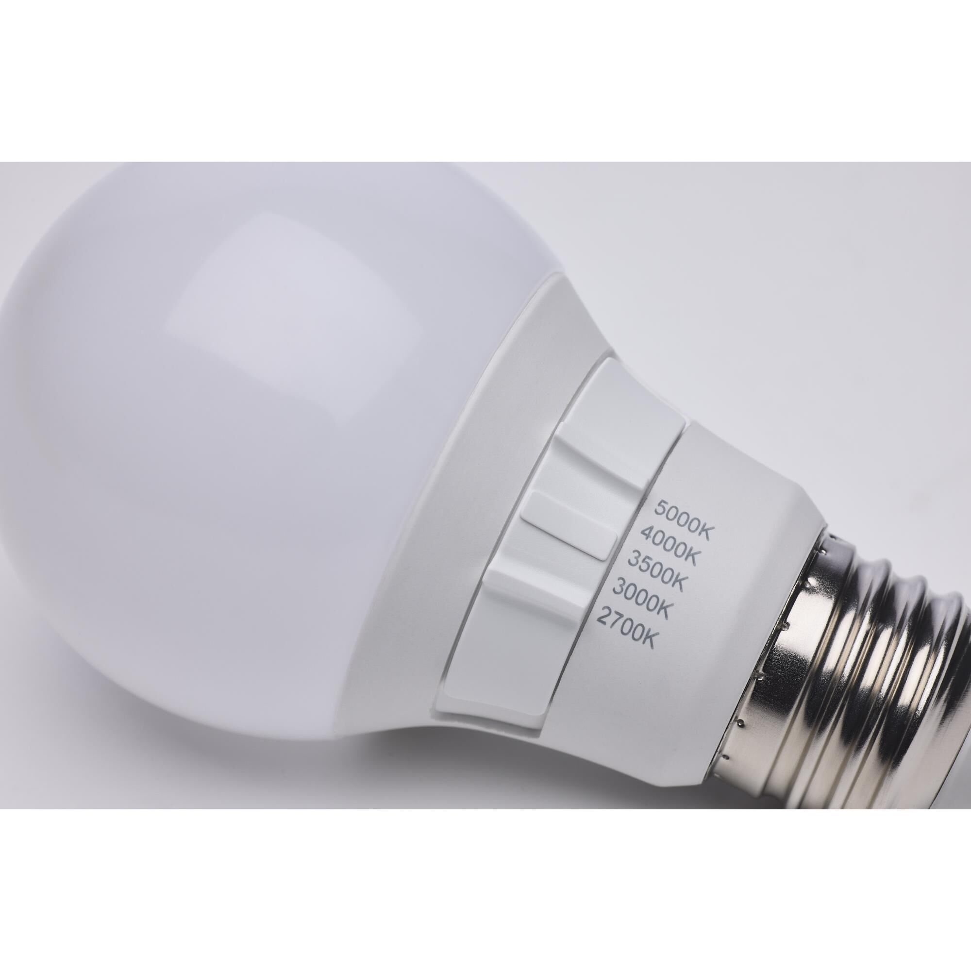 6 Watt 2700K A19 LED Light Bulb,