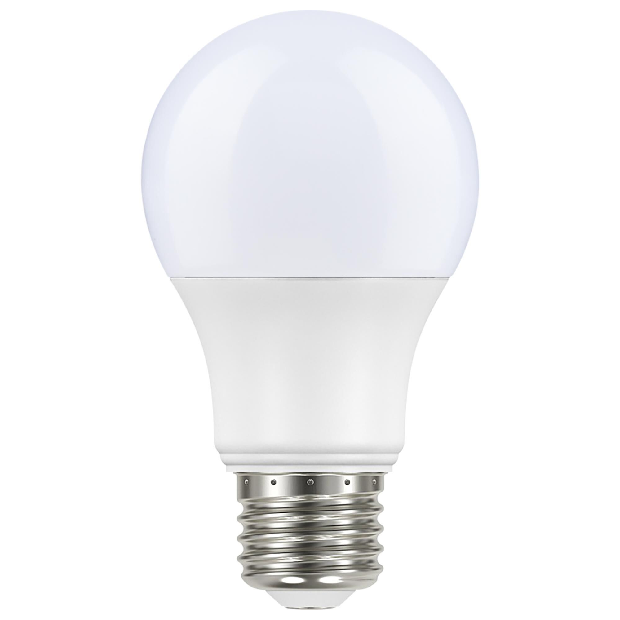8 Watt 2700K A19 LED Light Bulb,