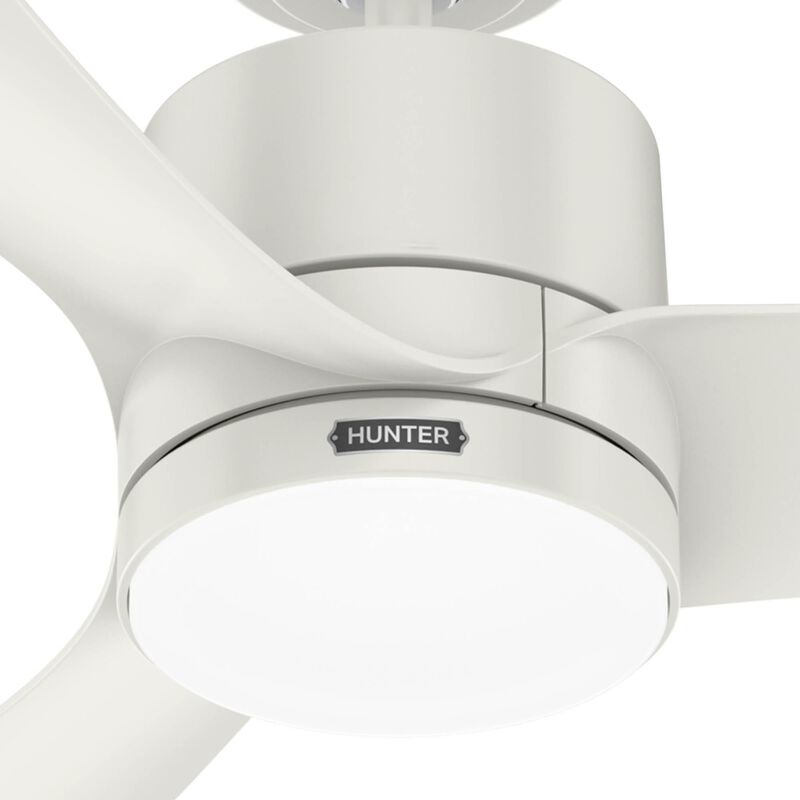 Bolsa 52 Inch Ceiling Fan with Light Kit by Hunter Fan