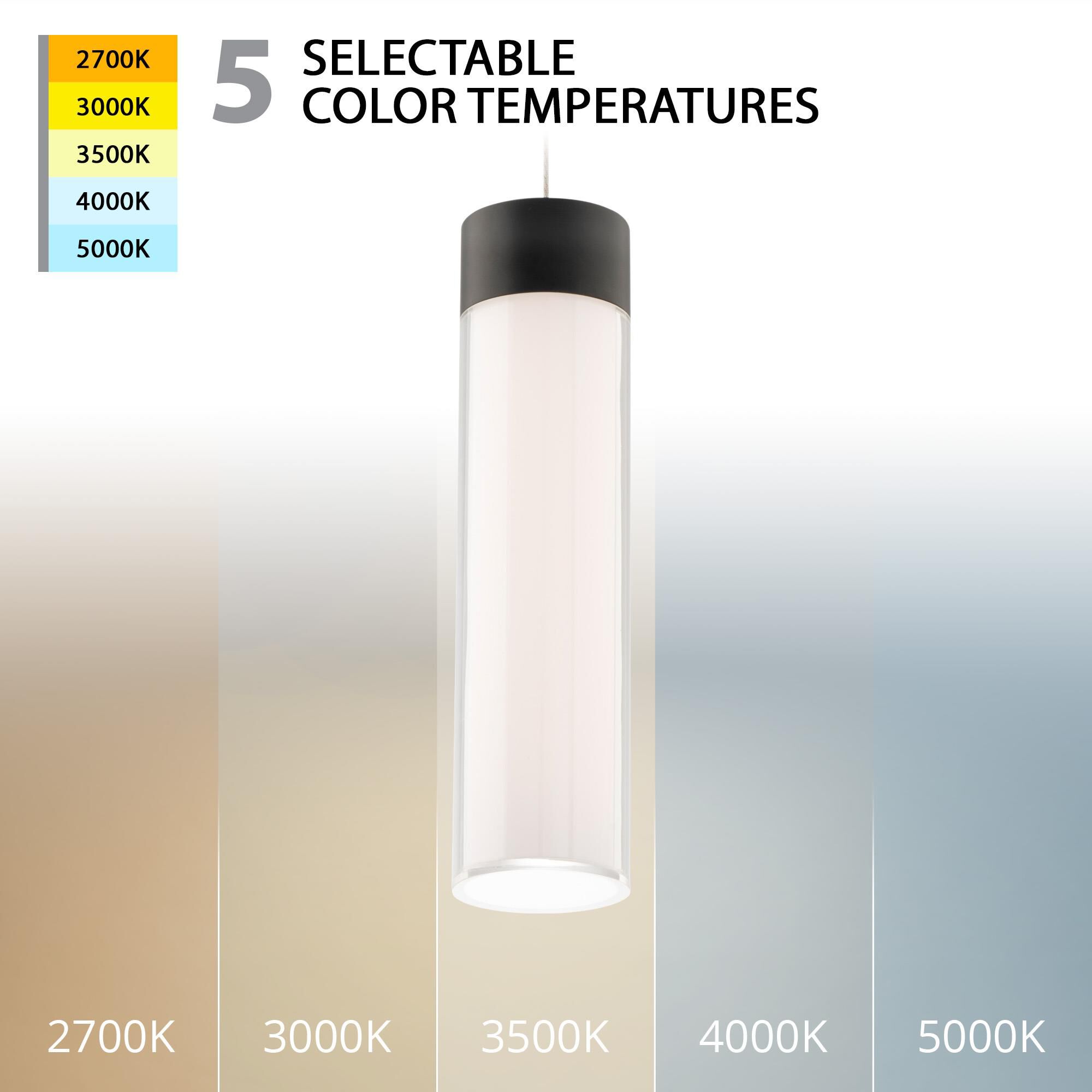 Twist-N-Lite 5 Inch Mini Pendant by WAC Lighting