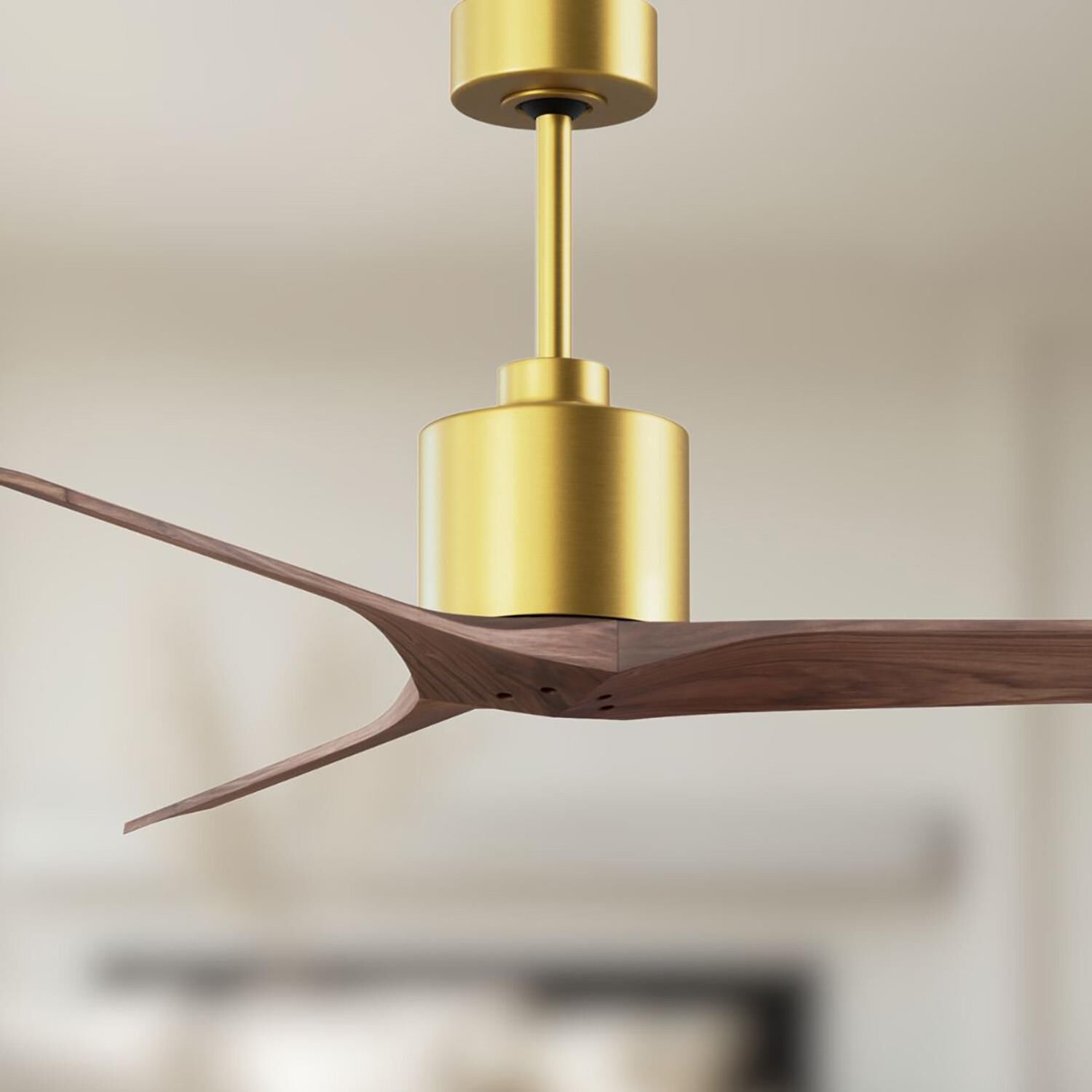 Mollywood 52 Inch Ceiling Fan by Matthews Fan Company