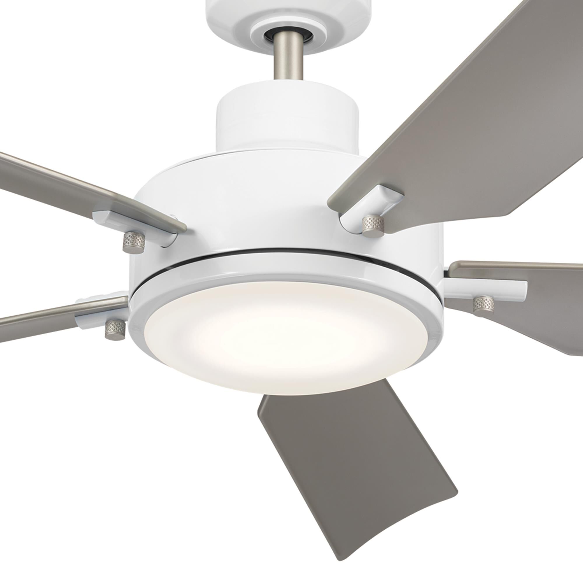 Guardian 54 Inch Ceiling Fan with Light Kit by Kichler Lighting
