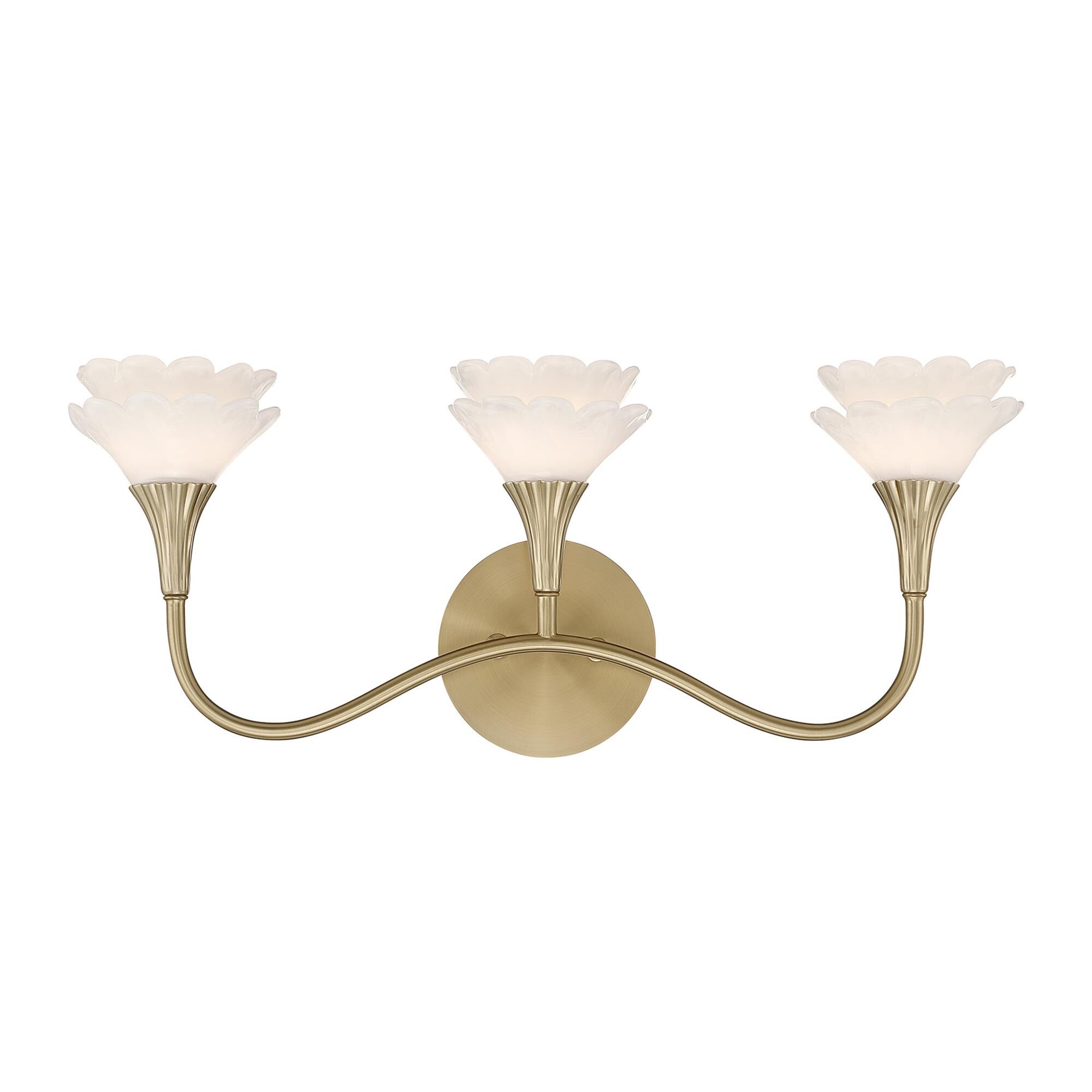 Breegan Jane Florena 22 Inch Bath Vanity Light by Savoy House