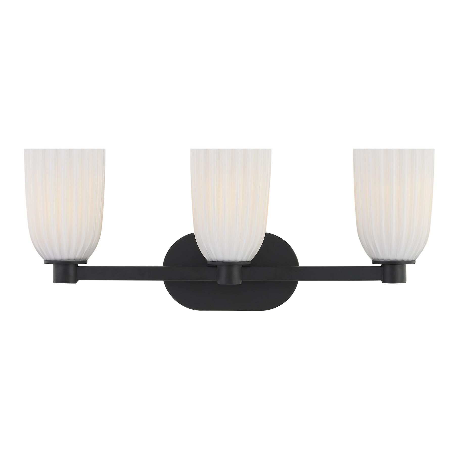 Baldwin 23 Inch Bath Vanity Light by Savoy House