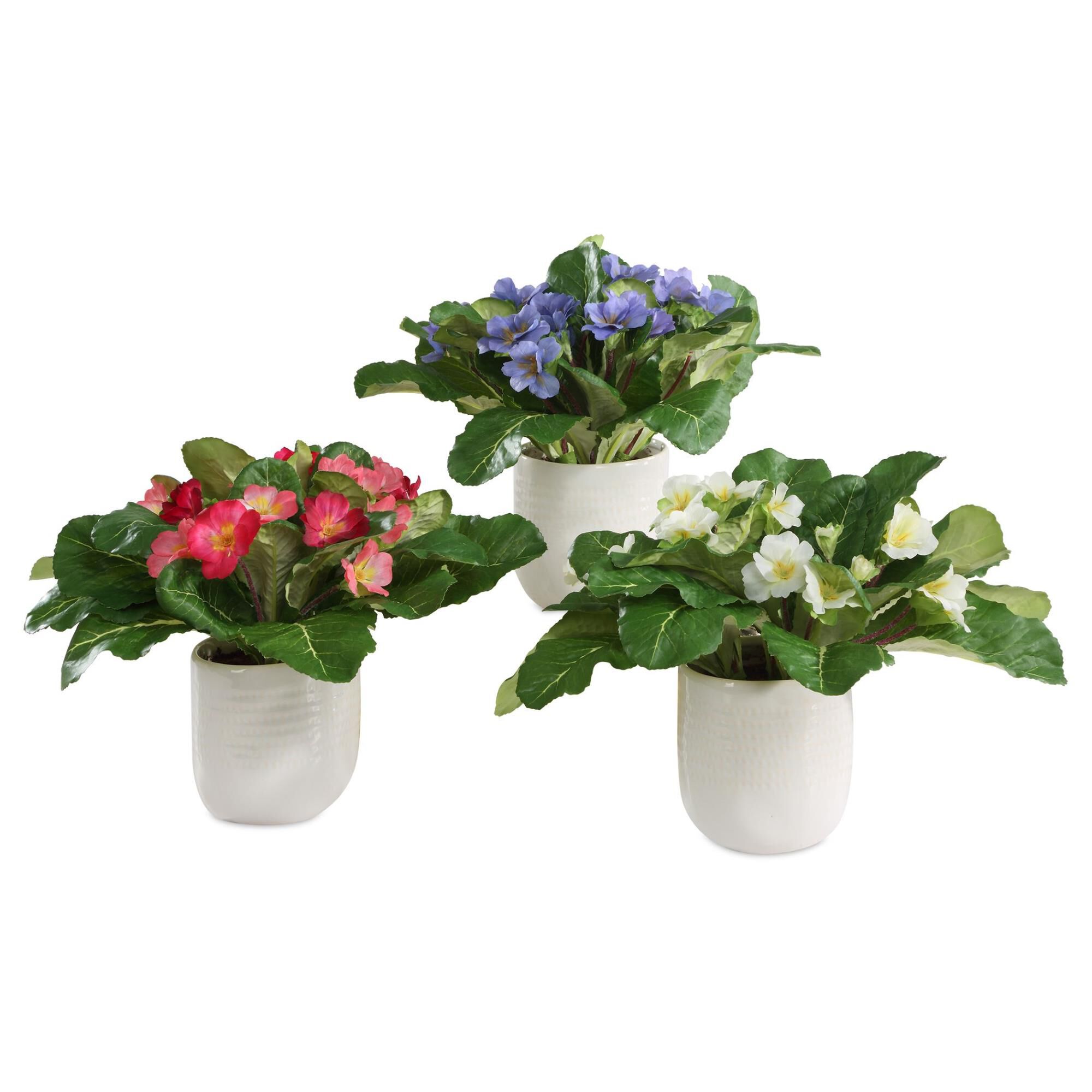 Constance Lael-Linyard Trilogy Primrose 11 Inch Botanical by Uttermost