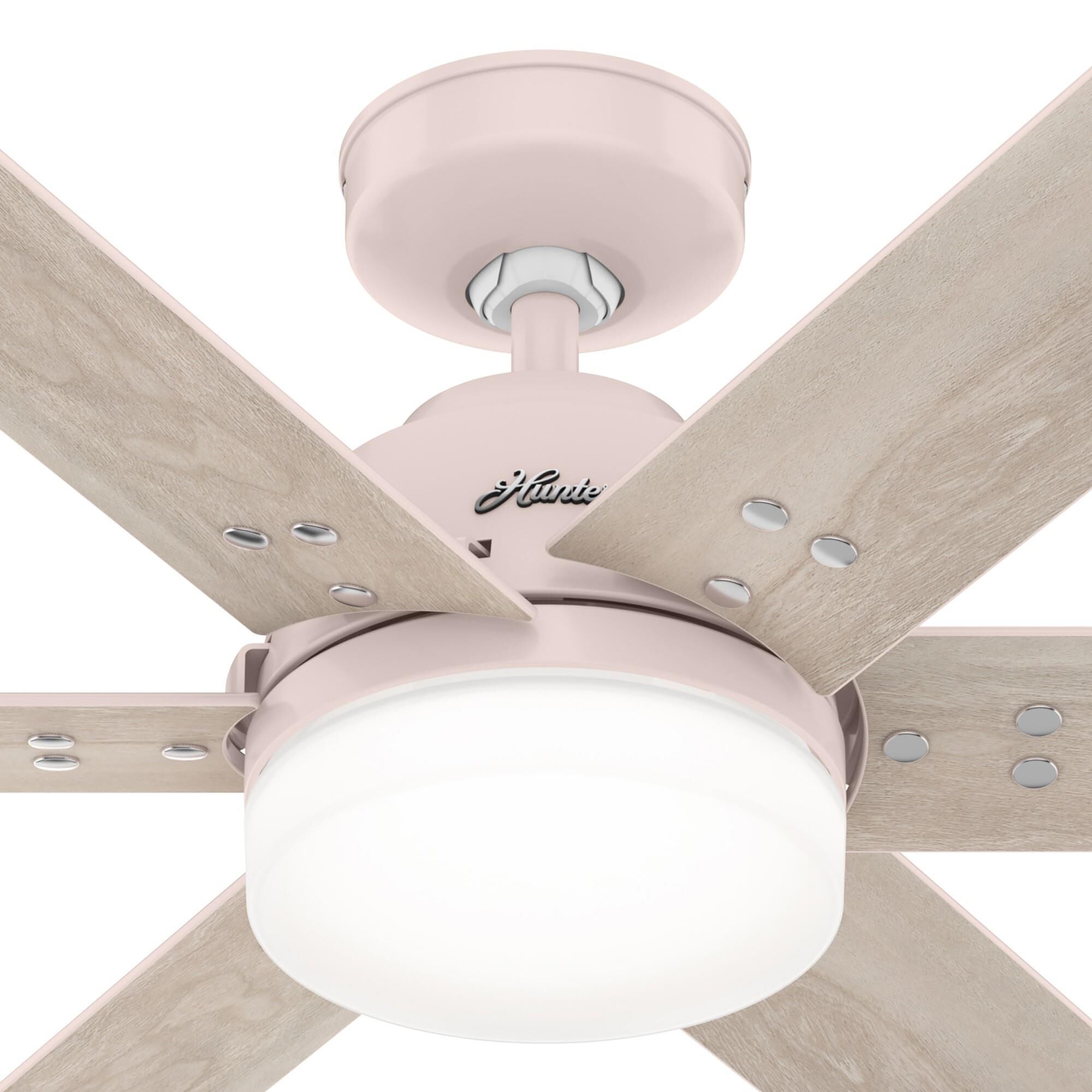 Pacer 44 Inch Ceiling Fan with Light Kit by Hunter Fan