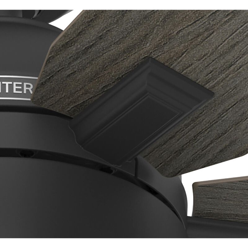 Hampshire 52 Inch Ceiling Fan with Light Kit by Hunter Fan
