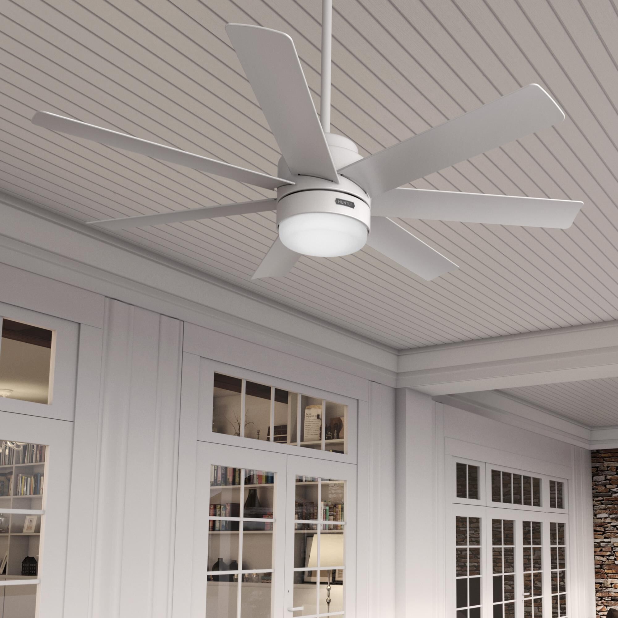Brazos 52 Inch Ceiling Fan by Hunter Fan