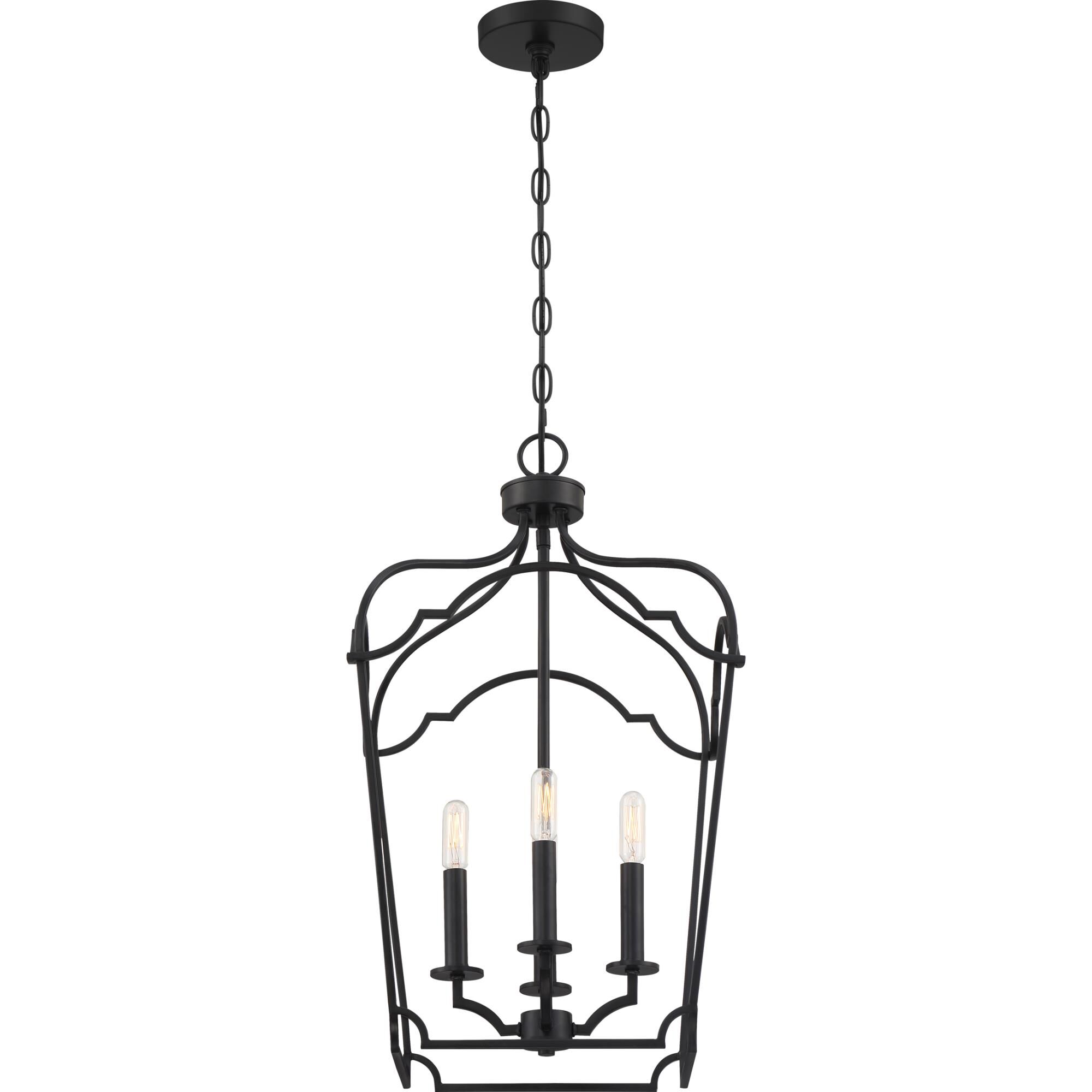 14 Inch Cage Pendant by Quoizel