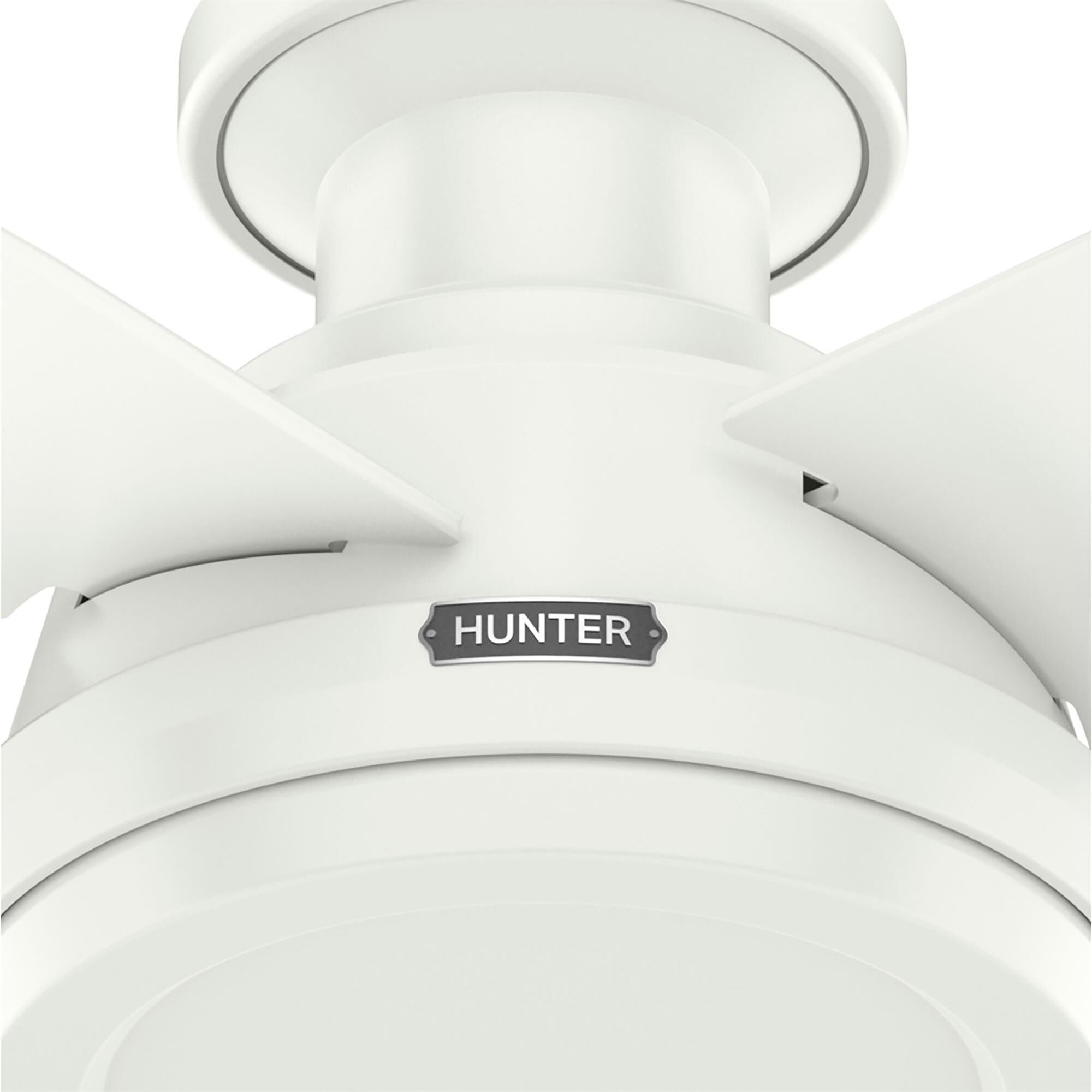 Dempsey 44 Inch Flush Mount Fan,