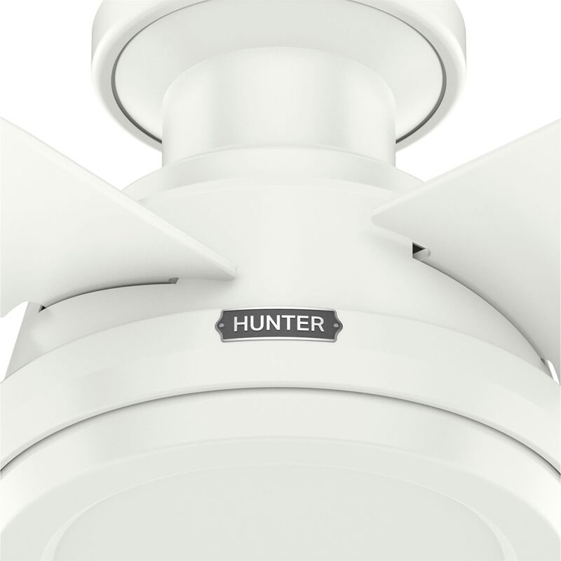 Dempsey 44 Inch Flush Mount Fan by Hunter Fan