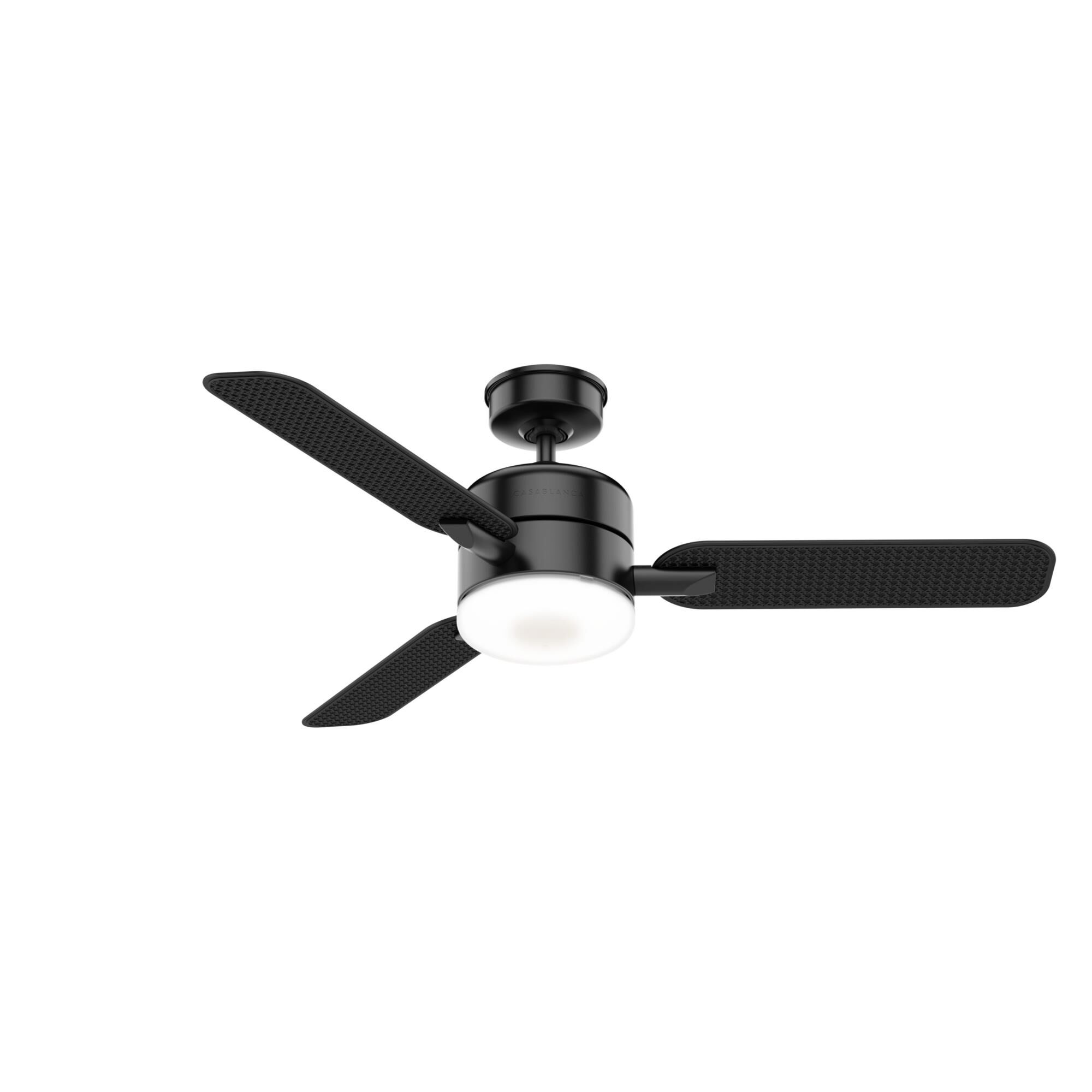 Paume Outdoor Rated 54 Inch Ceiling Fan with Light Kit by Casablanca Fan Company