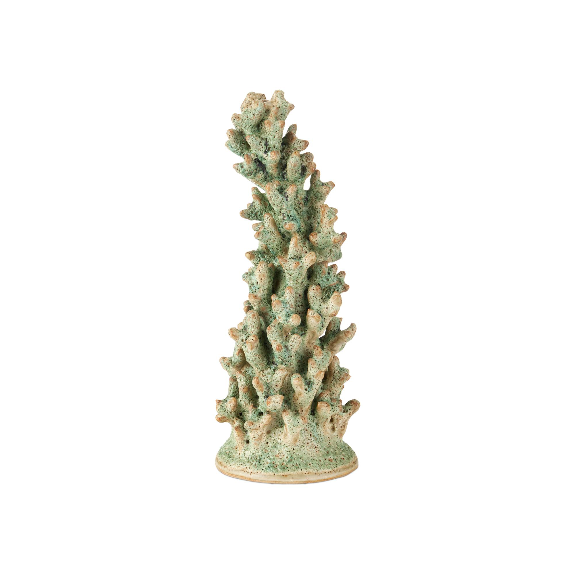 Staghorn Sculpture,