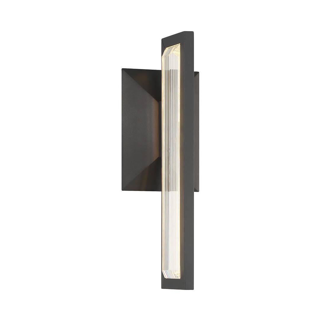 Aelin 14 Inch Outdoor Wall Light by Eurofase Lighting