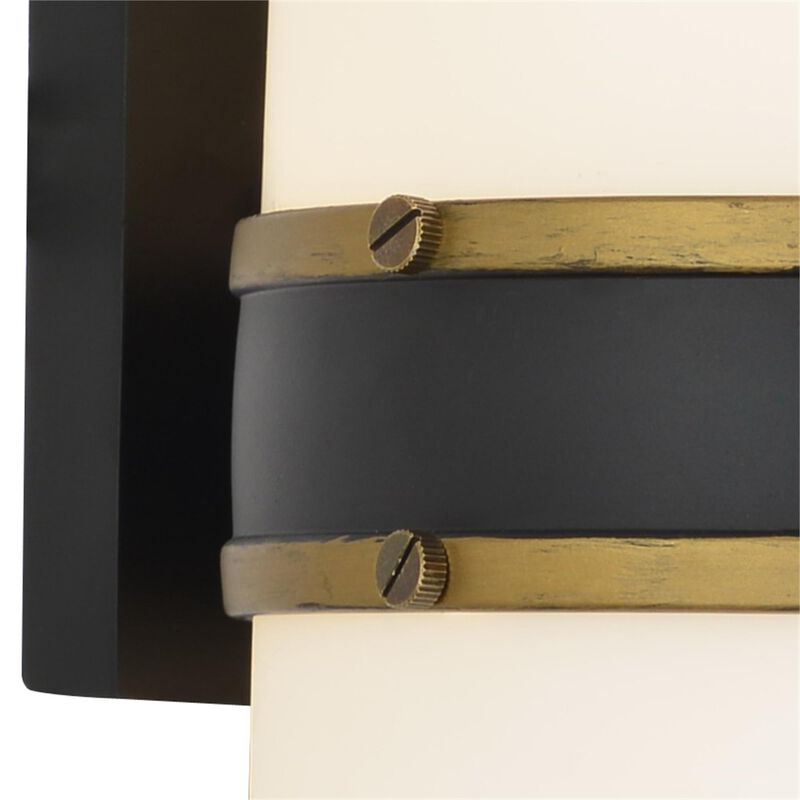 Brian Patrick Flynn Capsule 13 Inch Outdoor Wall Light by Crystorama