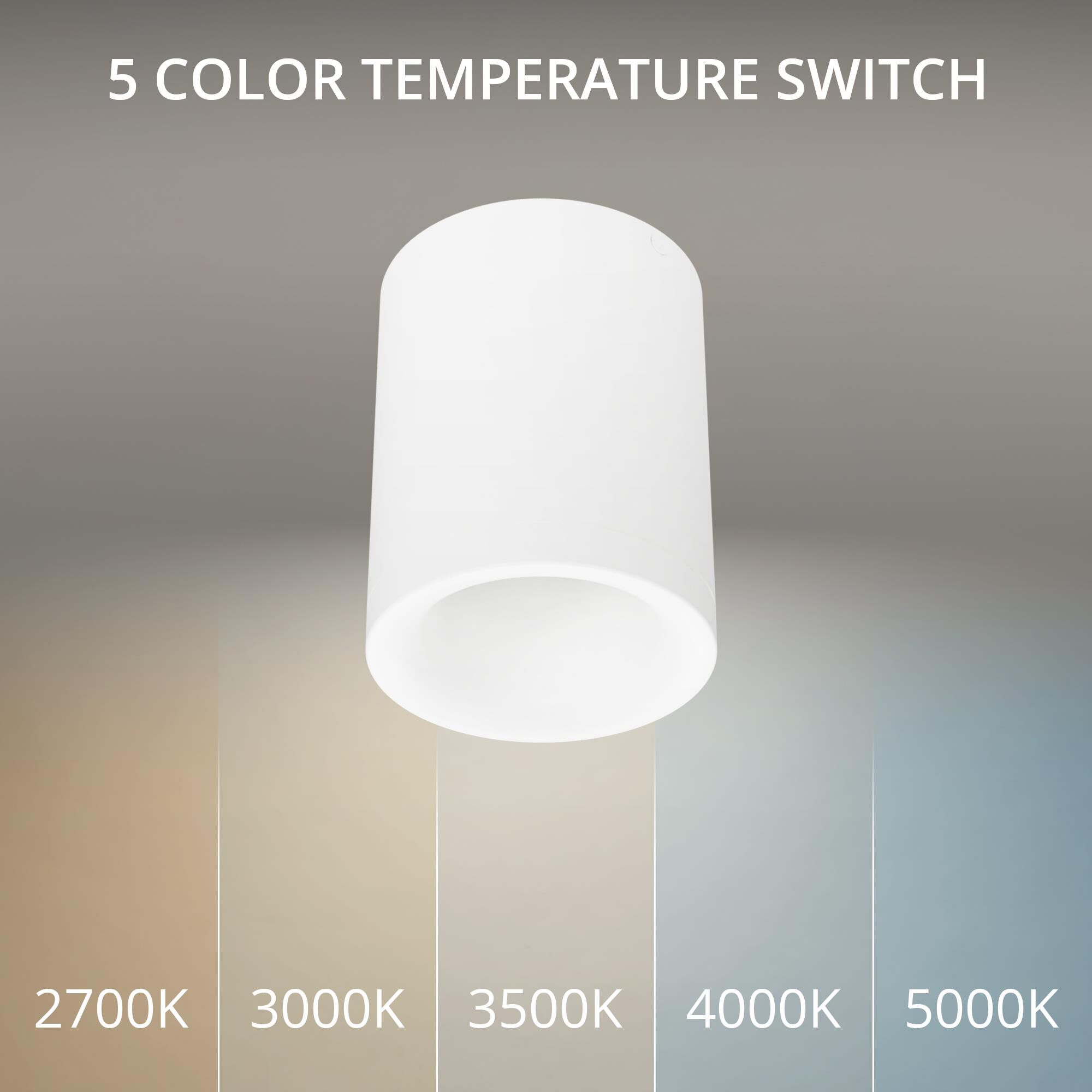 Zoron 4 Inch Outdoor Flush Mount by WAC Lighting