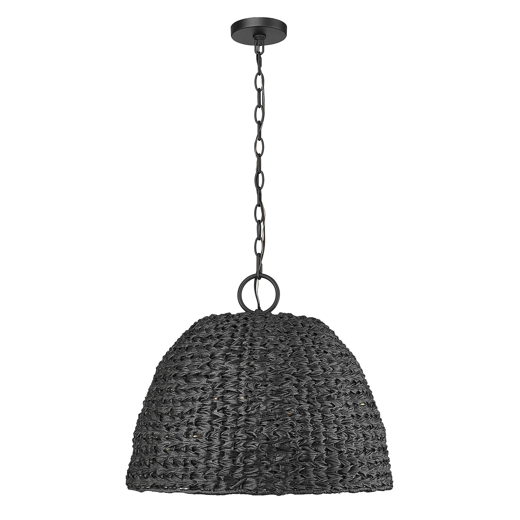 Rue 21 Inch Outdoor Hanging Lantern by Golden Lighting