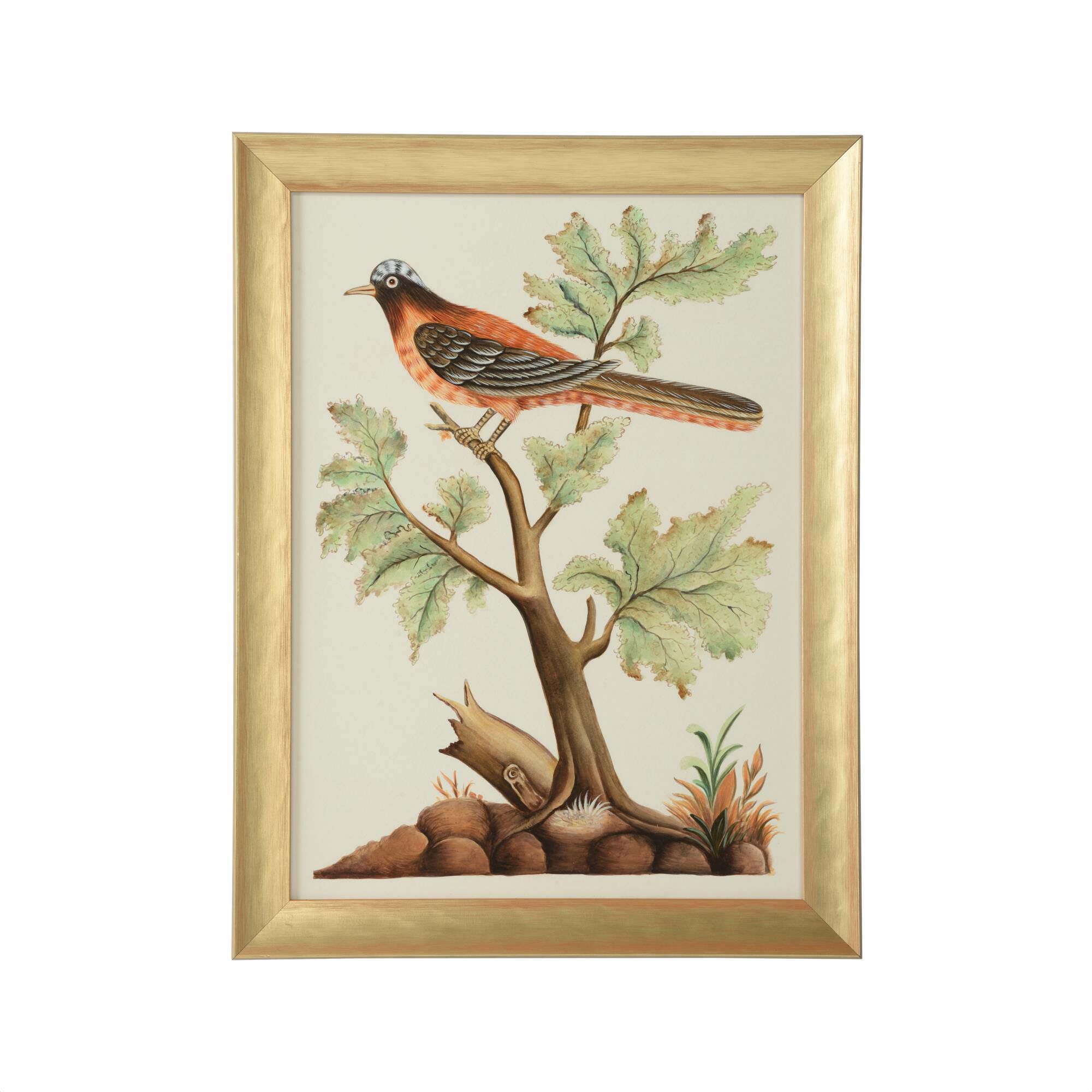 Bill Cain Watercolor Birds F Painting by Chelsea House