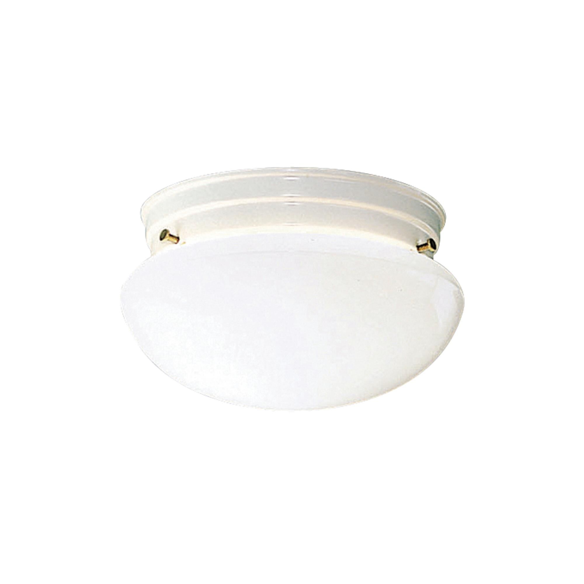 Ceiling Space 9 Inch 2 Light Flush Mount,