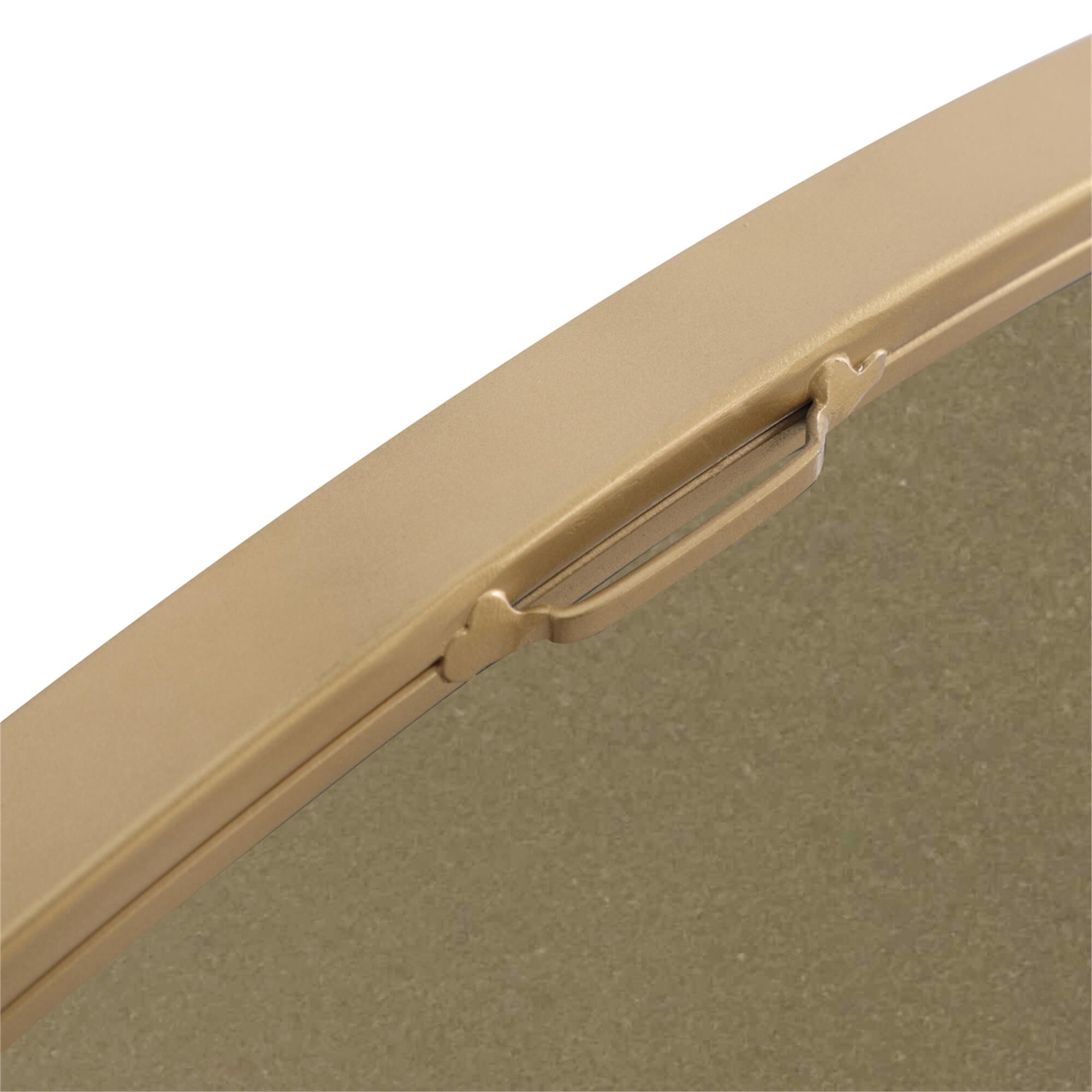 Asha 72 Inch Decorative Mirror by Elegant Decor