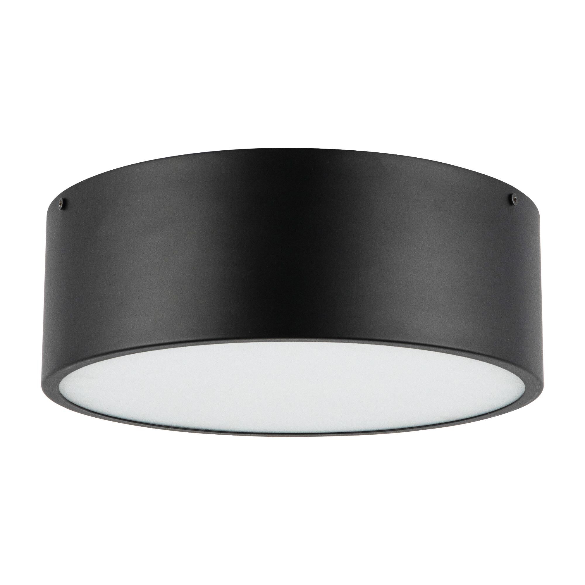 Brisbane 12 Inch 2 Light Flush Mount,