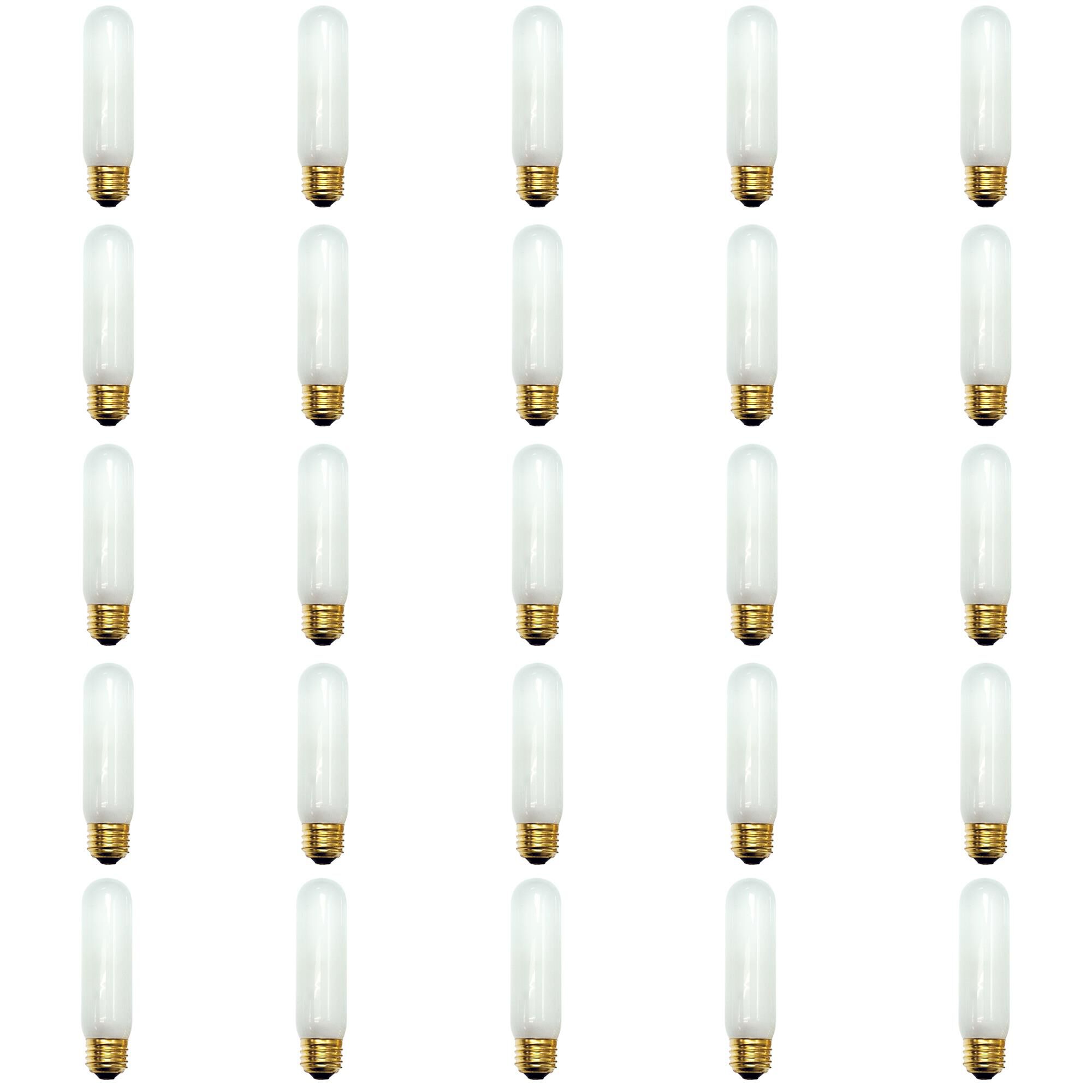 60 Watt 2700K T10 Incandescent Light Bulb,