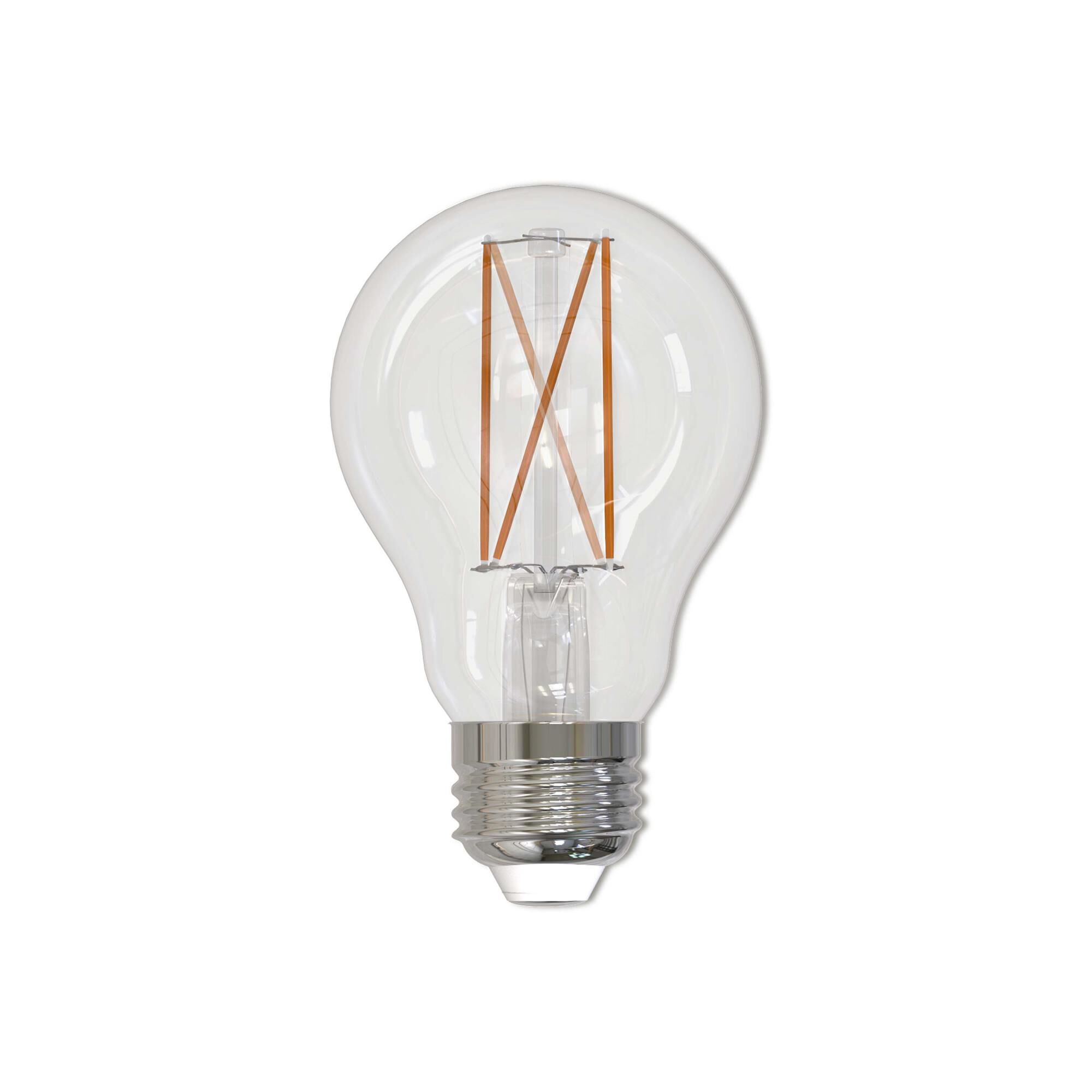 9 Watt 2700K A19 LED Light Bulb by Bulbrite