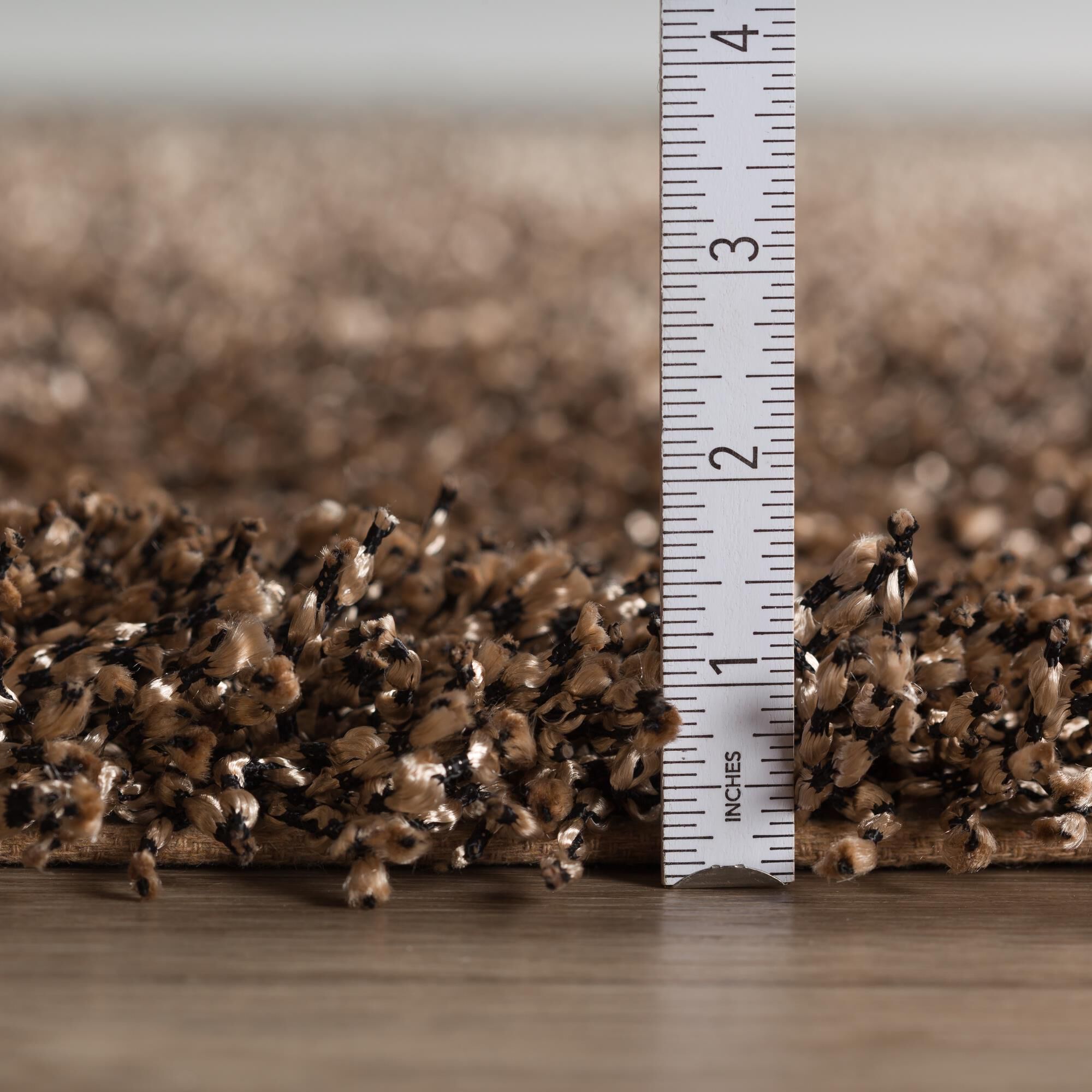 Belize BZ100 Area Rug by Dalyn Rug Company