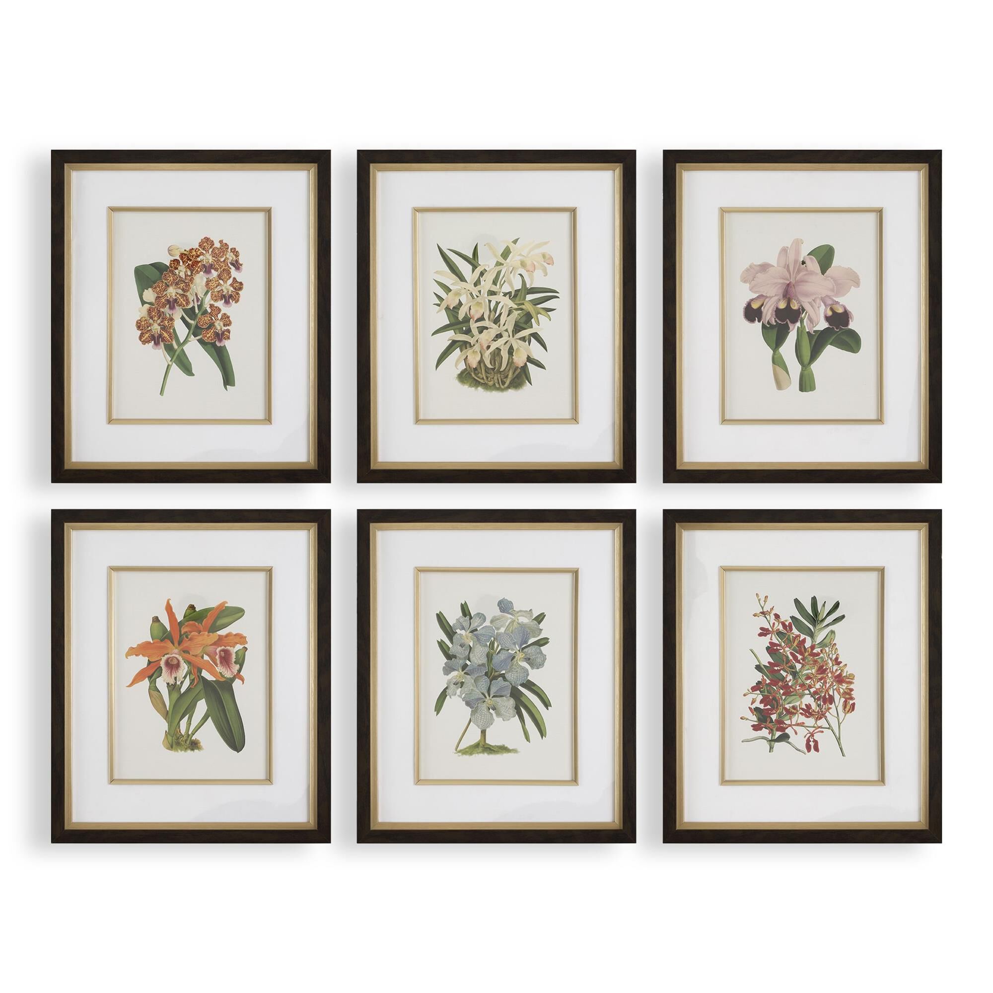 Shown in Black, Blue, Gold, Green, Orange, Pink, Purple, Red finish