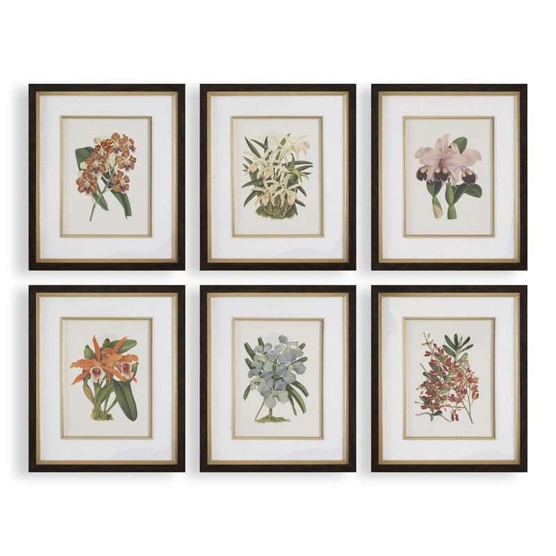 Grace Feyock Orchid 25 Inch Art Print by Uttermost