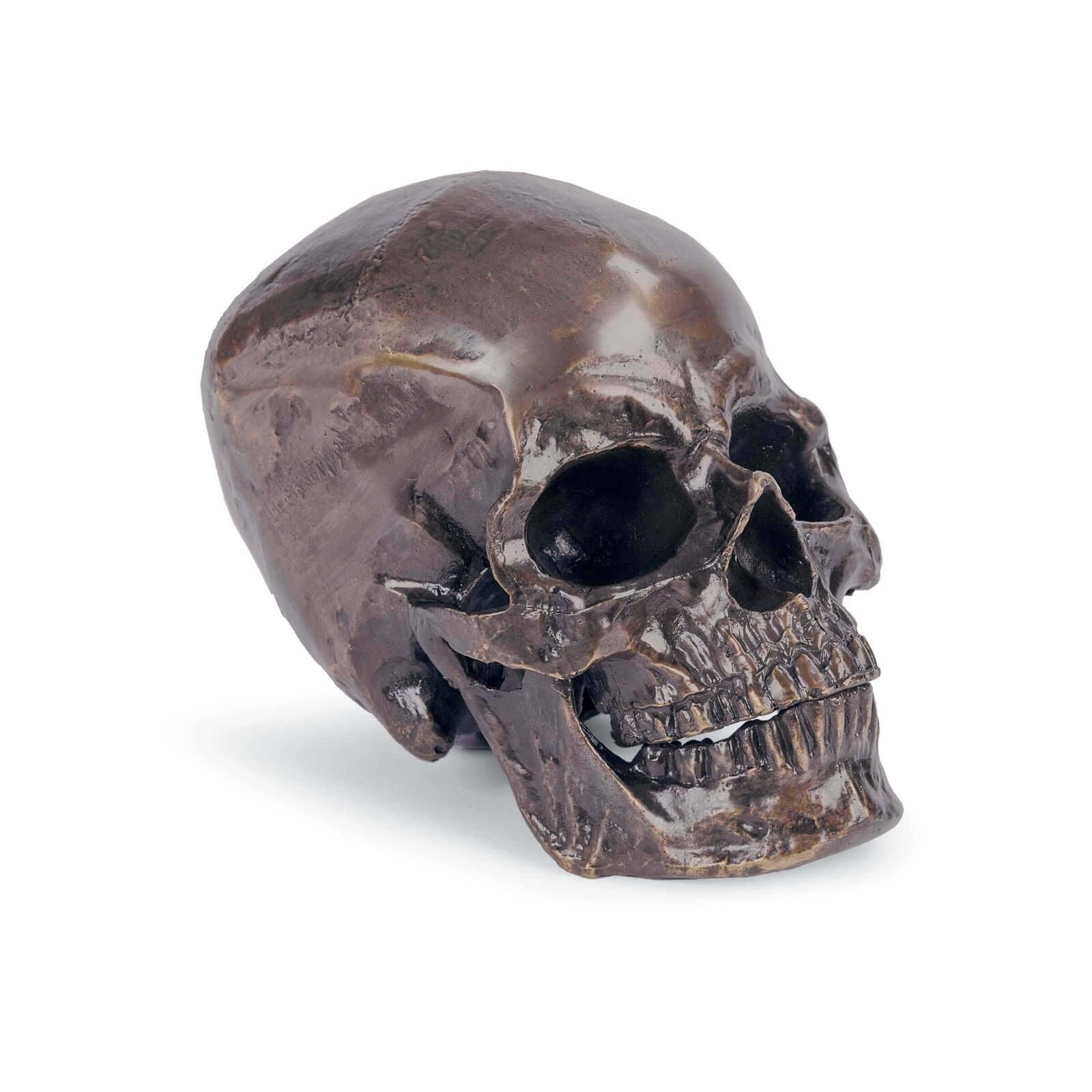 Metal Skull 9 Inch Other Table Accent by Regina Andrew