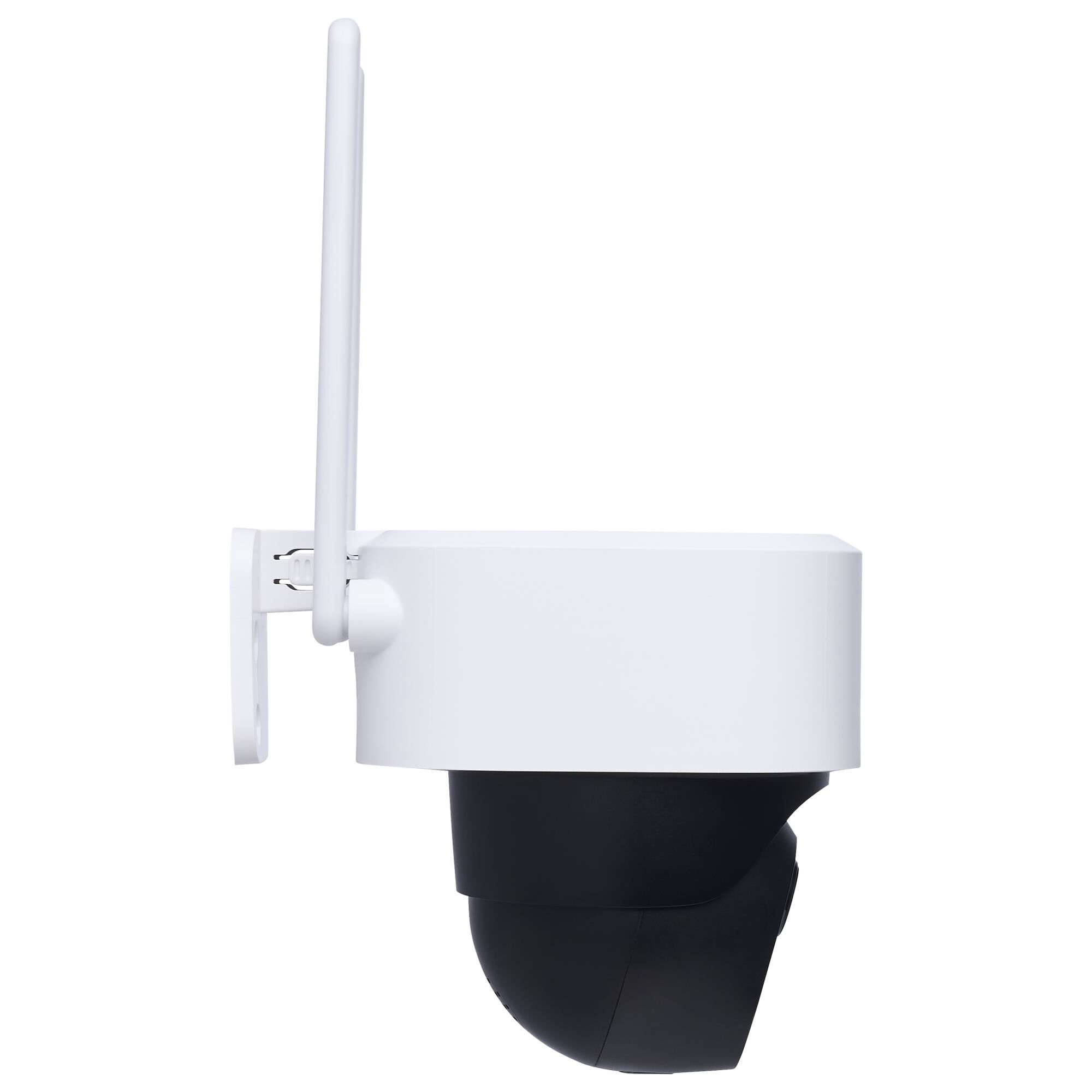 Starfish  Landscape Specialty Light by Nuvo Lighting