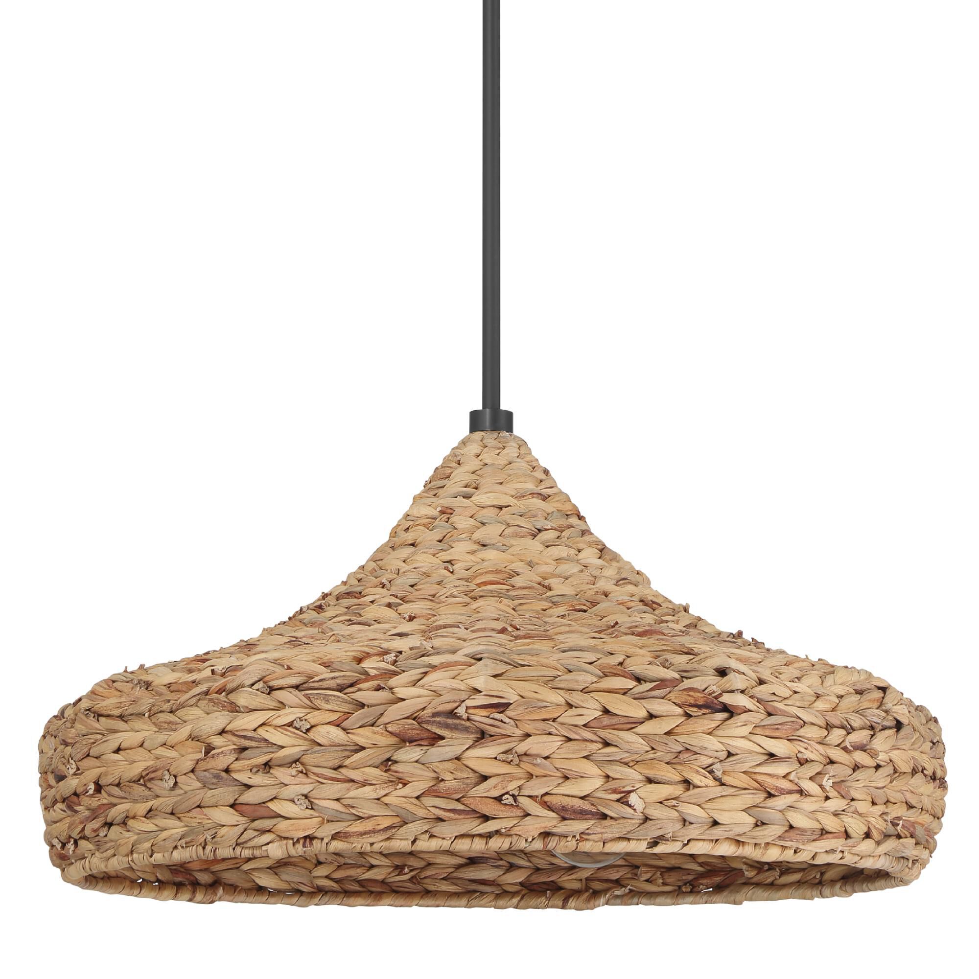 Cambria 24 Inch Large Pendant by Hunter Fan