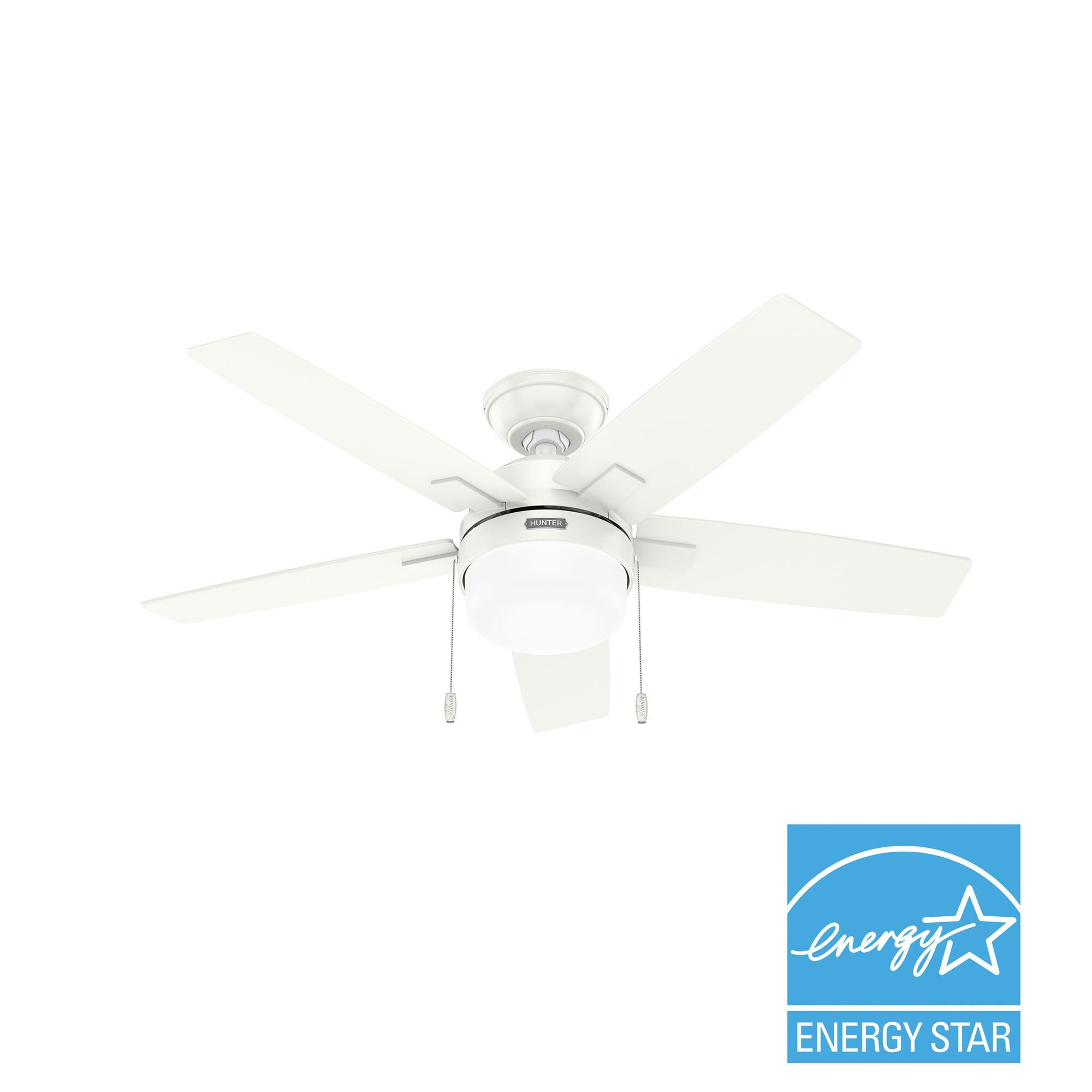 Anisten 44 Inch Ceiling Fan by Hunter Fan