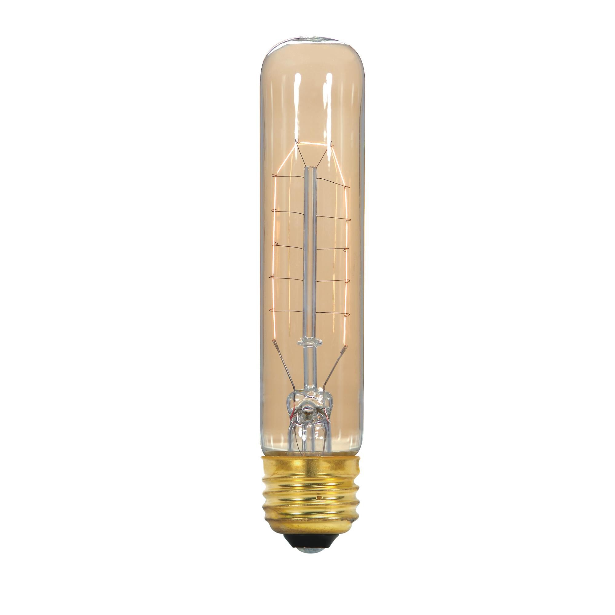 20 Watt T9 Vintage Light Bulb by Satco