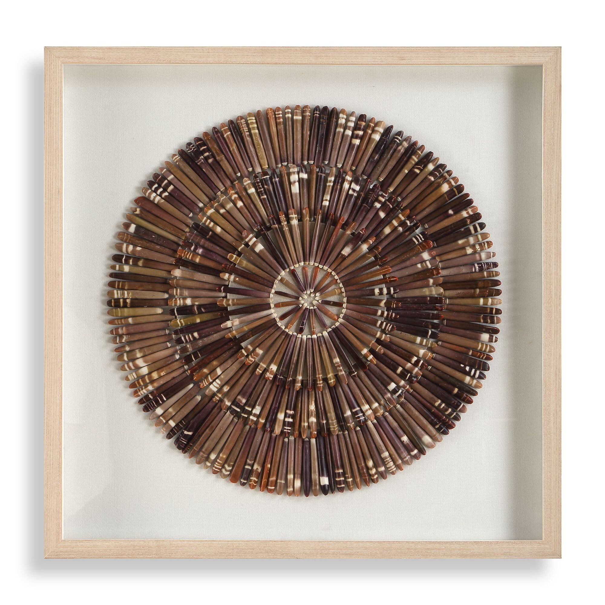 Tiger Sea Urchin Alternative Wall Art,