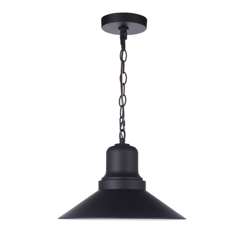 Singleton 14 Inch Outdoor Hanging Lantern by Craftmade