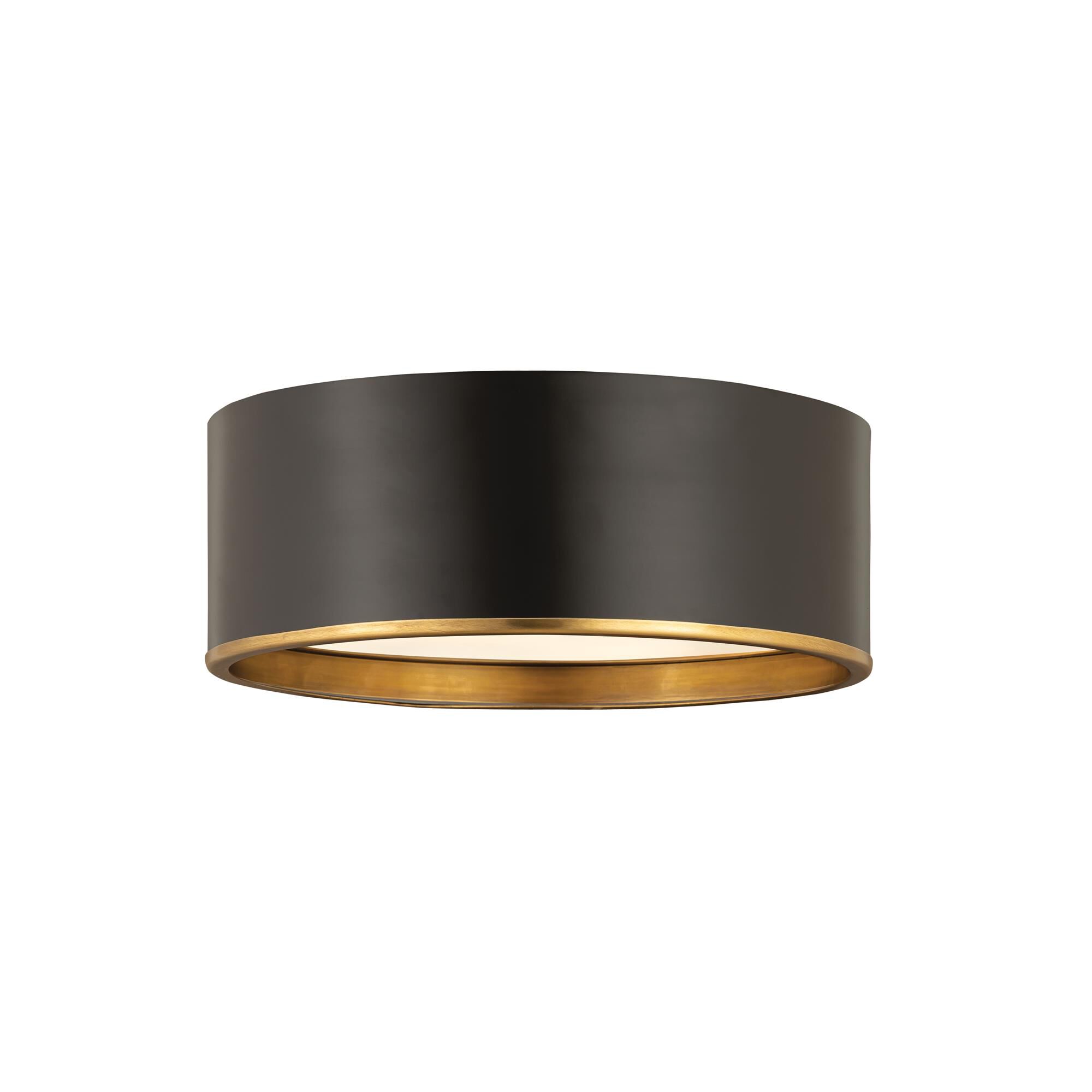 Shown in Matte Black And Rubbed Brass finish and Steel glass and Steel shade