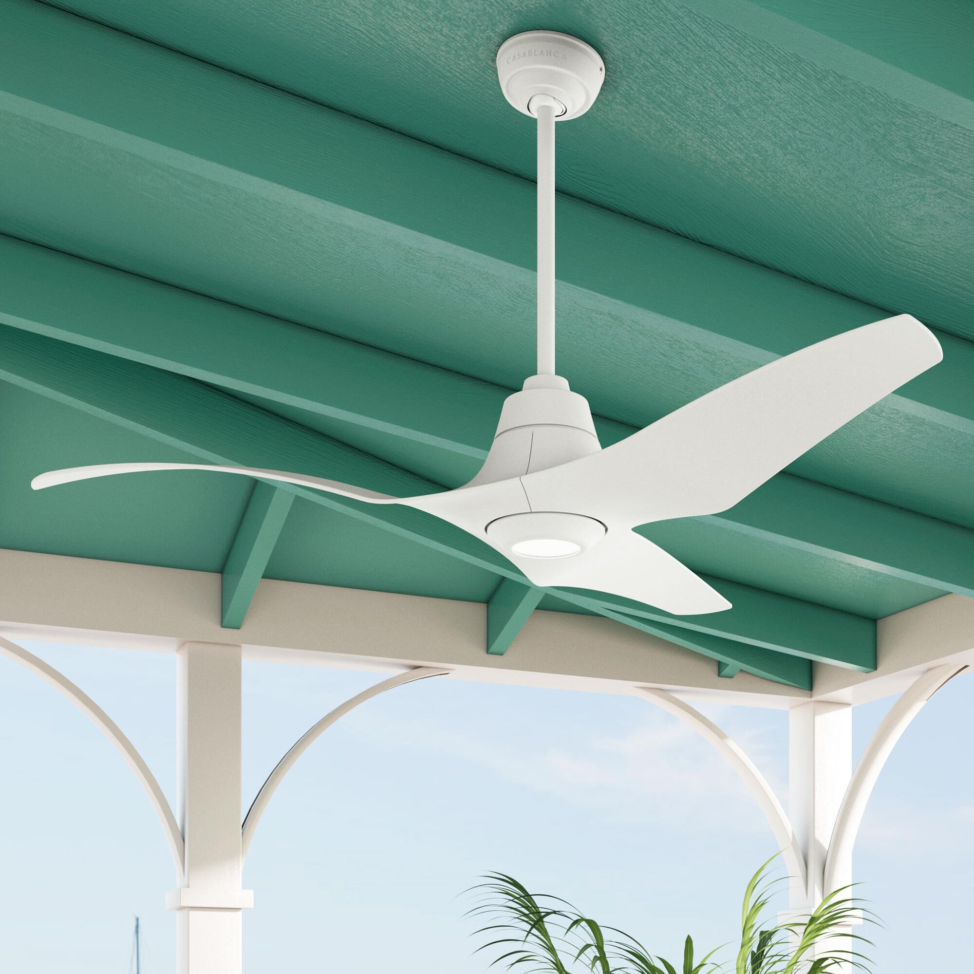 Stingray 60 Inch Ceiling Fan with Light Kit by Casablanca Fan Company