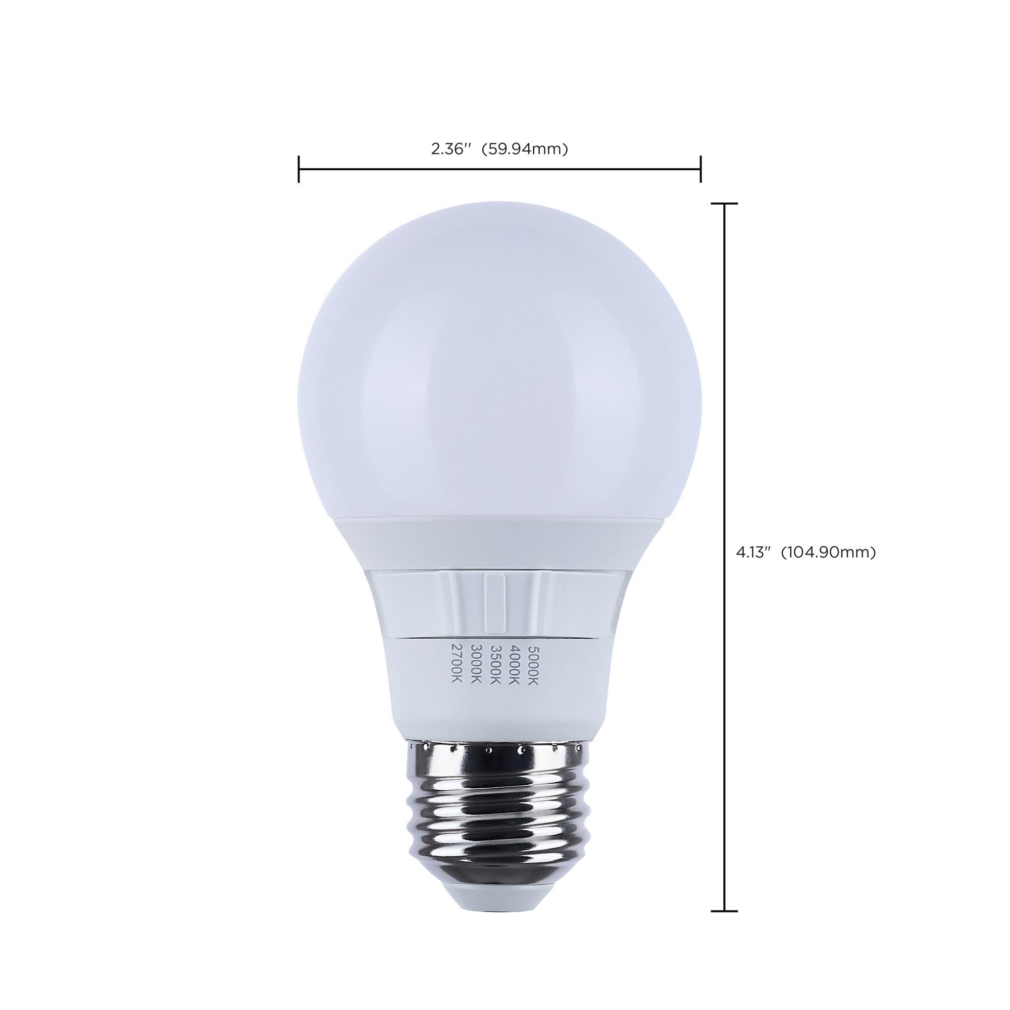 6 Watt 2700K A19 LED Light Bulb,