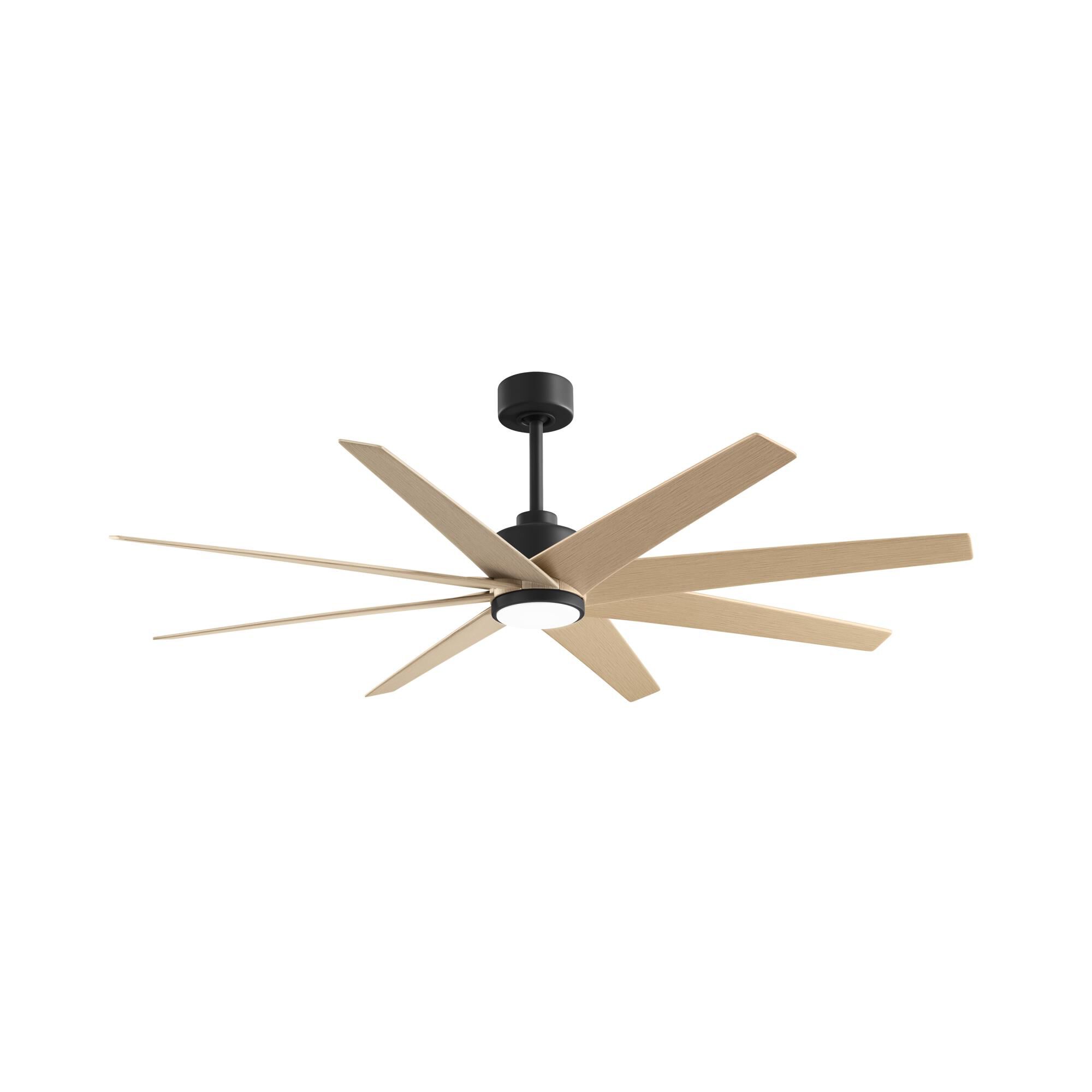 Ariella Outdoor Rated 64 Inch Ceiling Fan with Light Kit by Matthews Fan Company