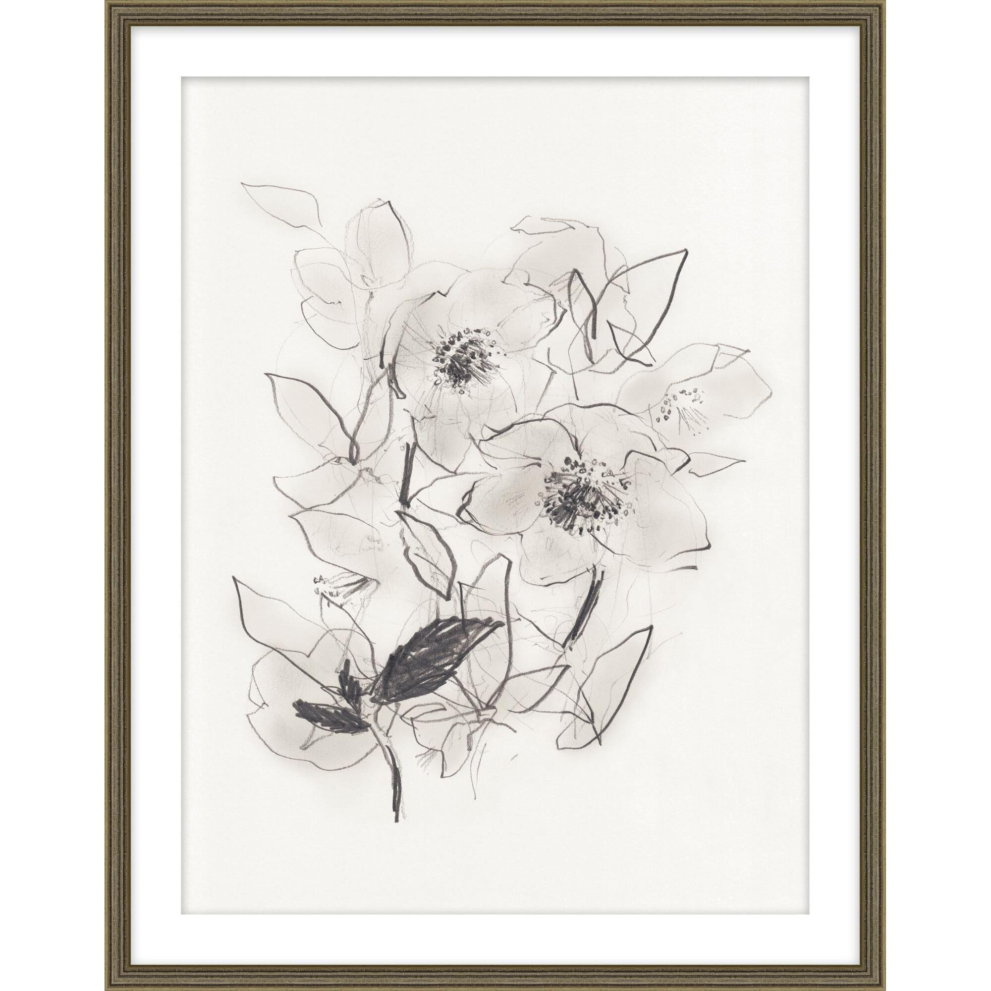Claudia Lowry Hellebores At Daybreak Print by LEVEL57