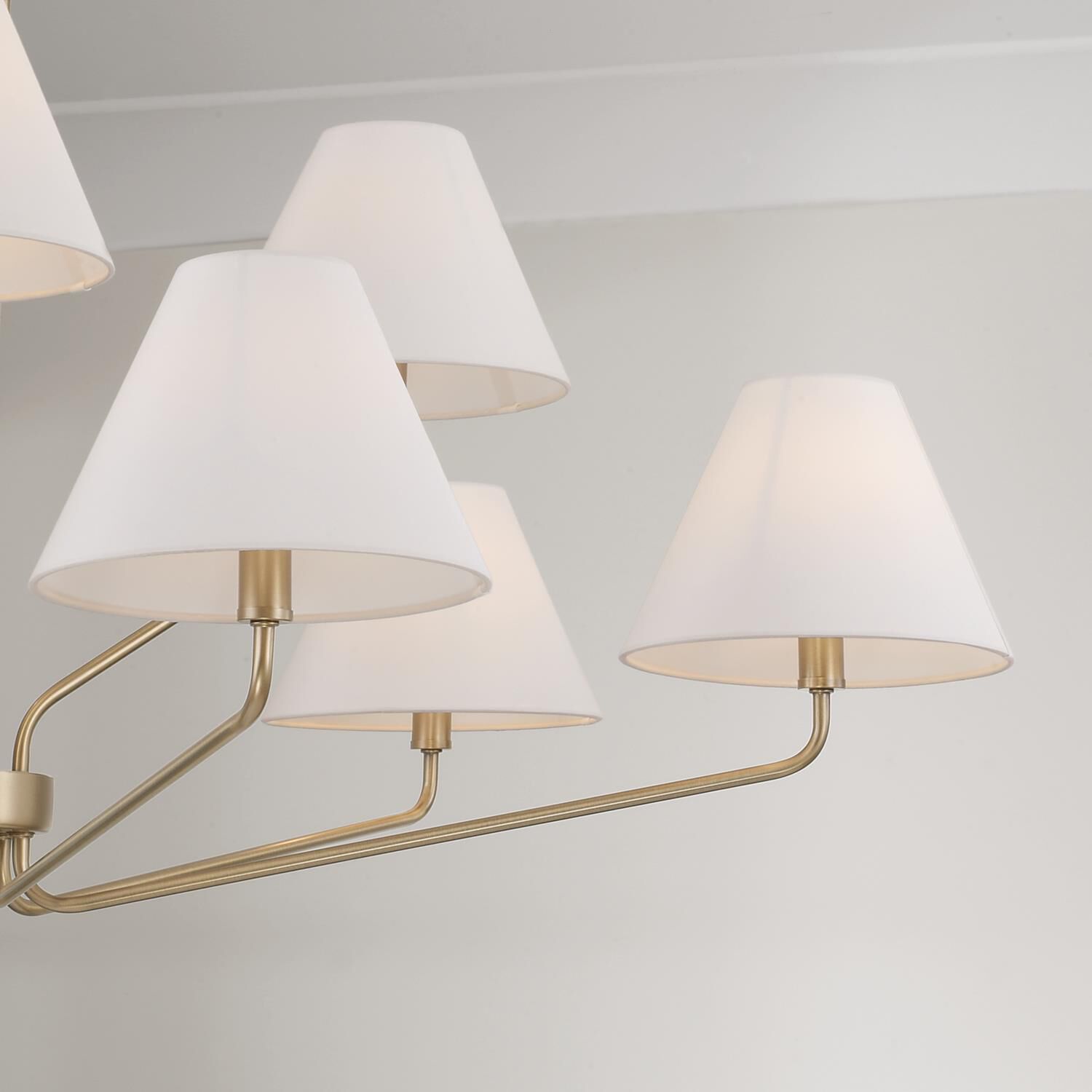 Chadwick 45 Inch Chandelier by Capital Lighting Fixture Company