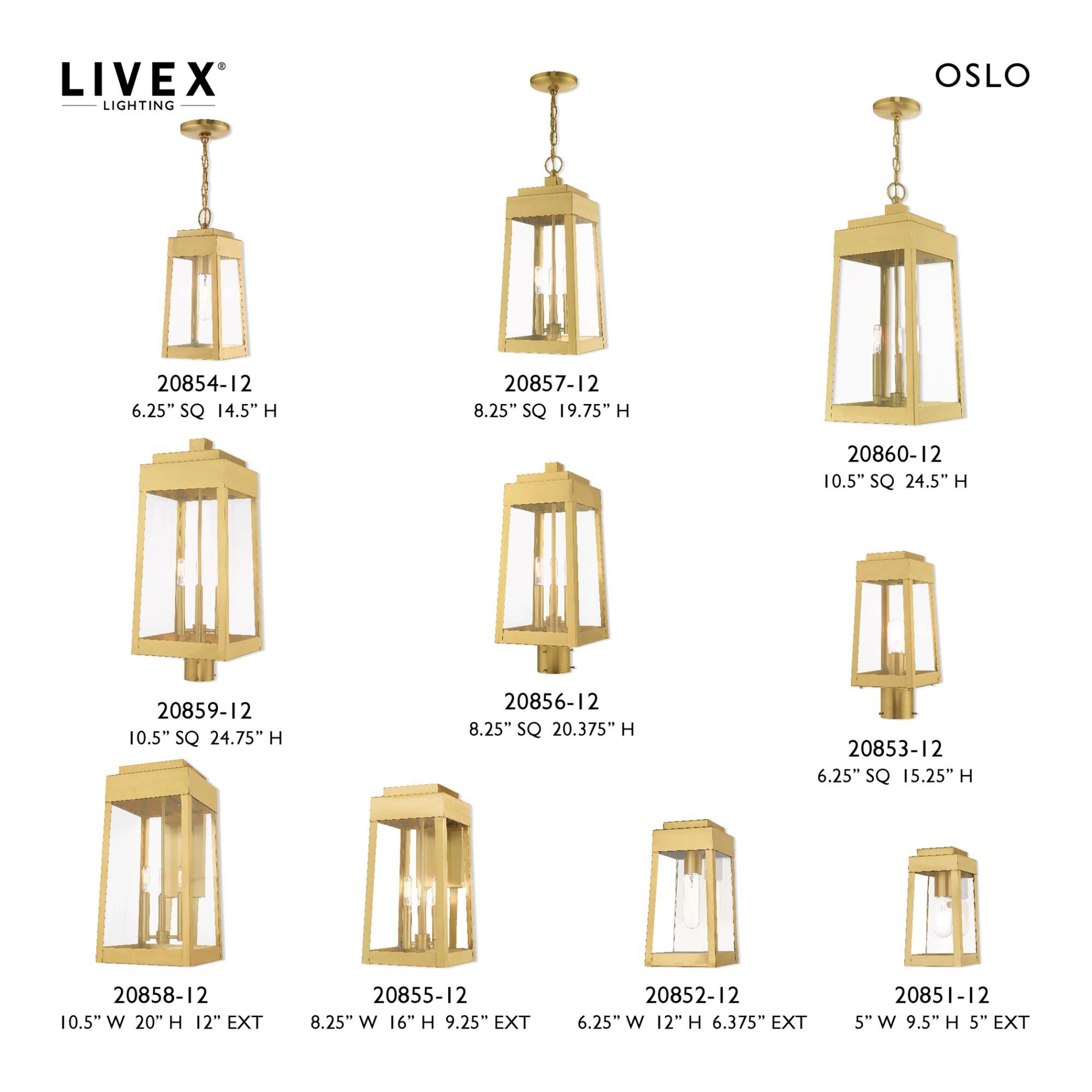 Oslo 9 Inch Tall 1 Light Outdoor Wall Light by Livex Lighting